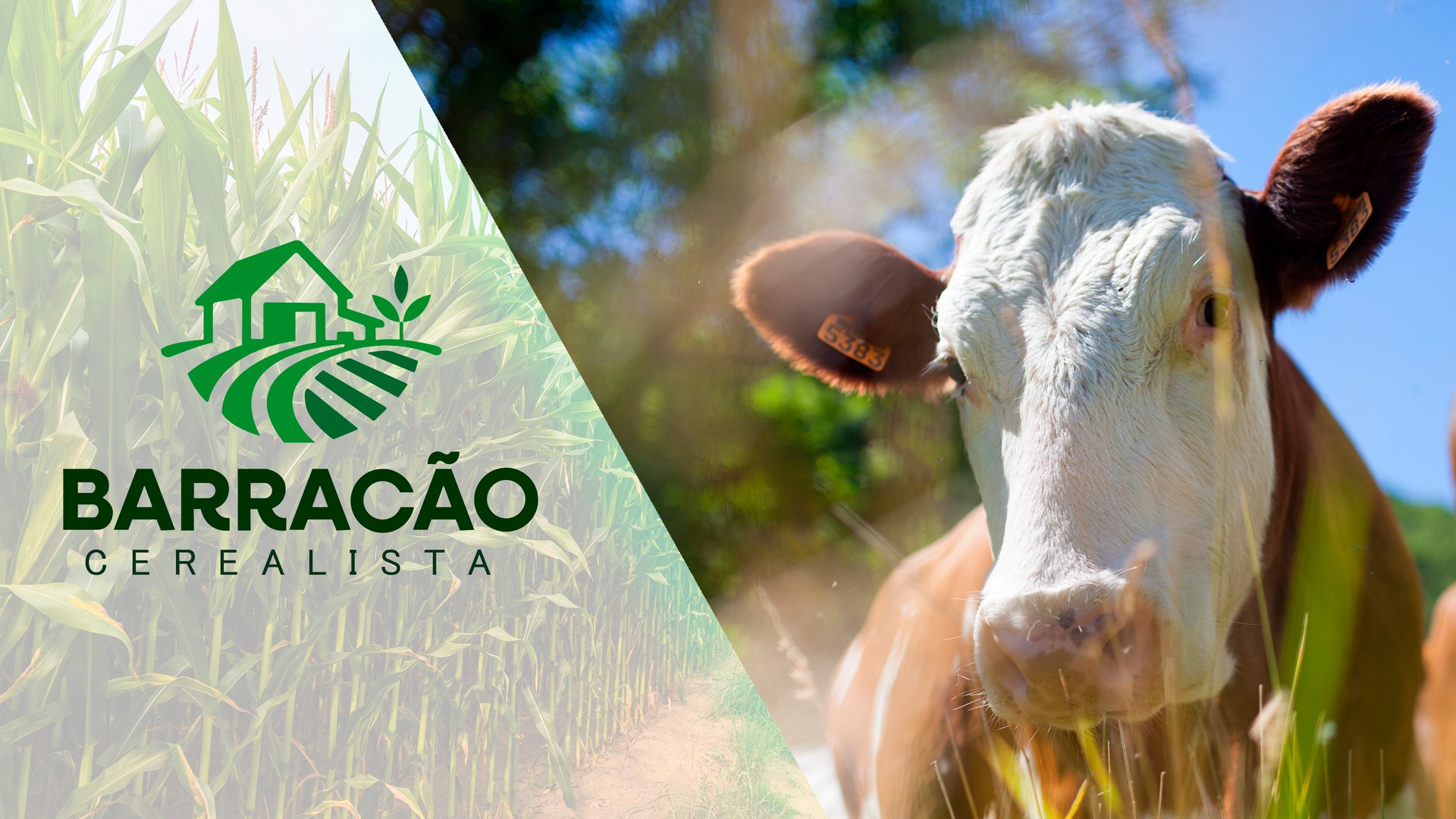 blue and white smoke illustration