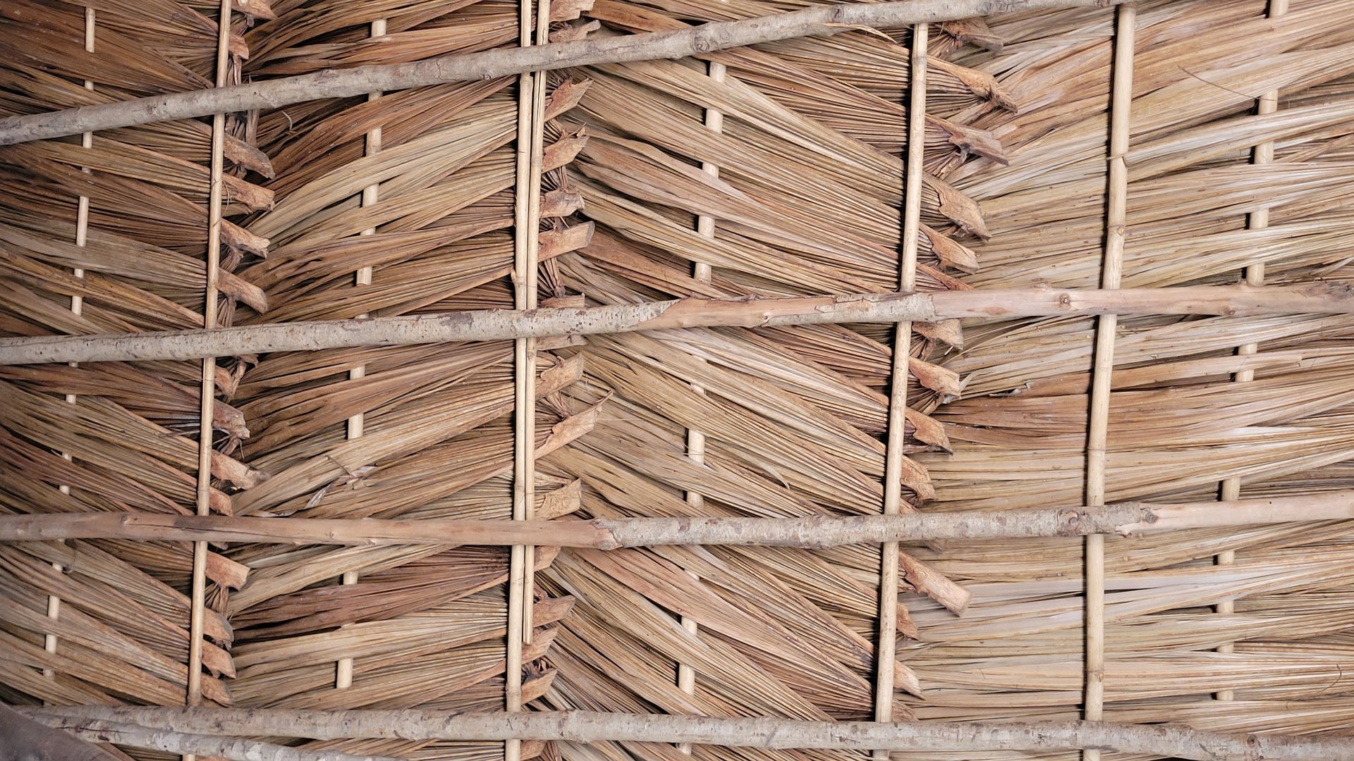 woman wearing yellow long-sleeved dress under white clouds and blue sky during daytime