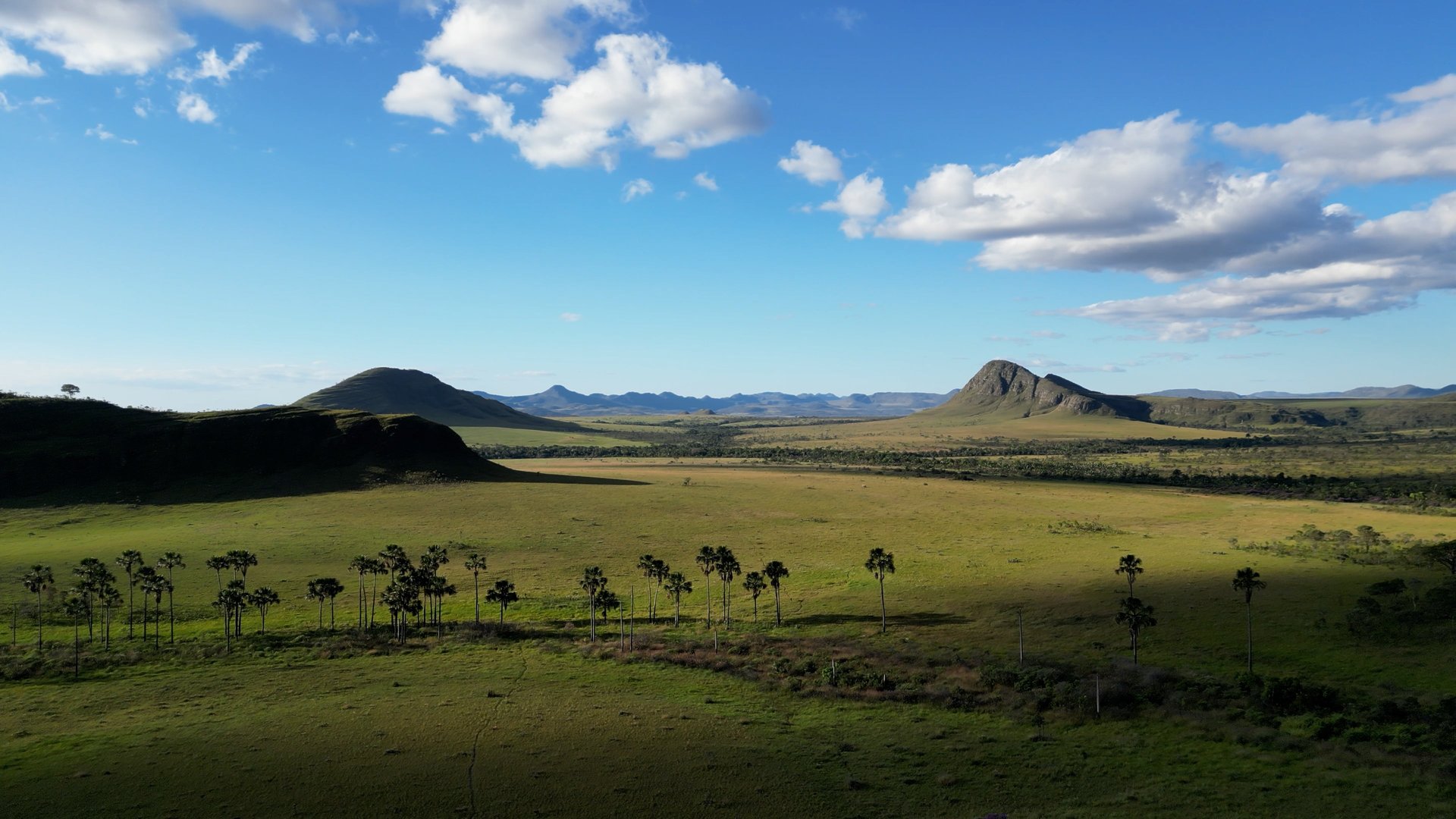 an abstract photo of a curved building with a blue sky in the background