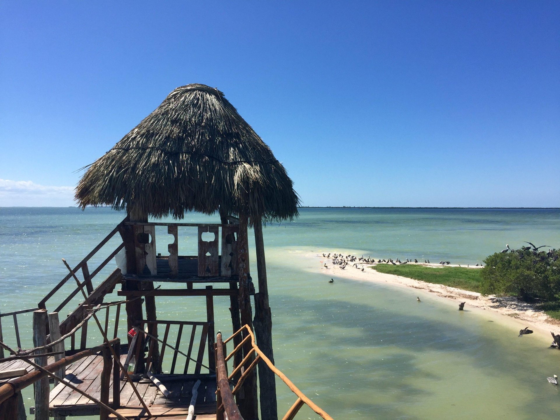Isla Pasion et Isla Holbox avec Paseo Tours