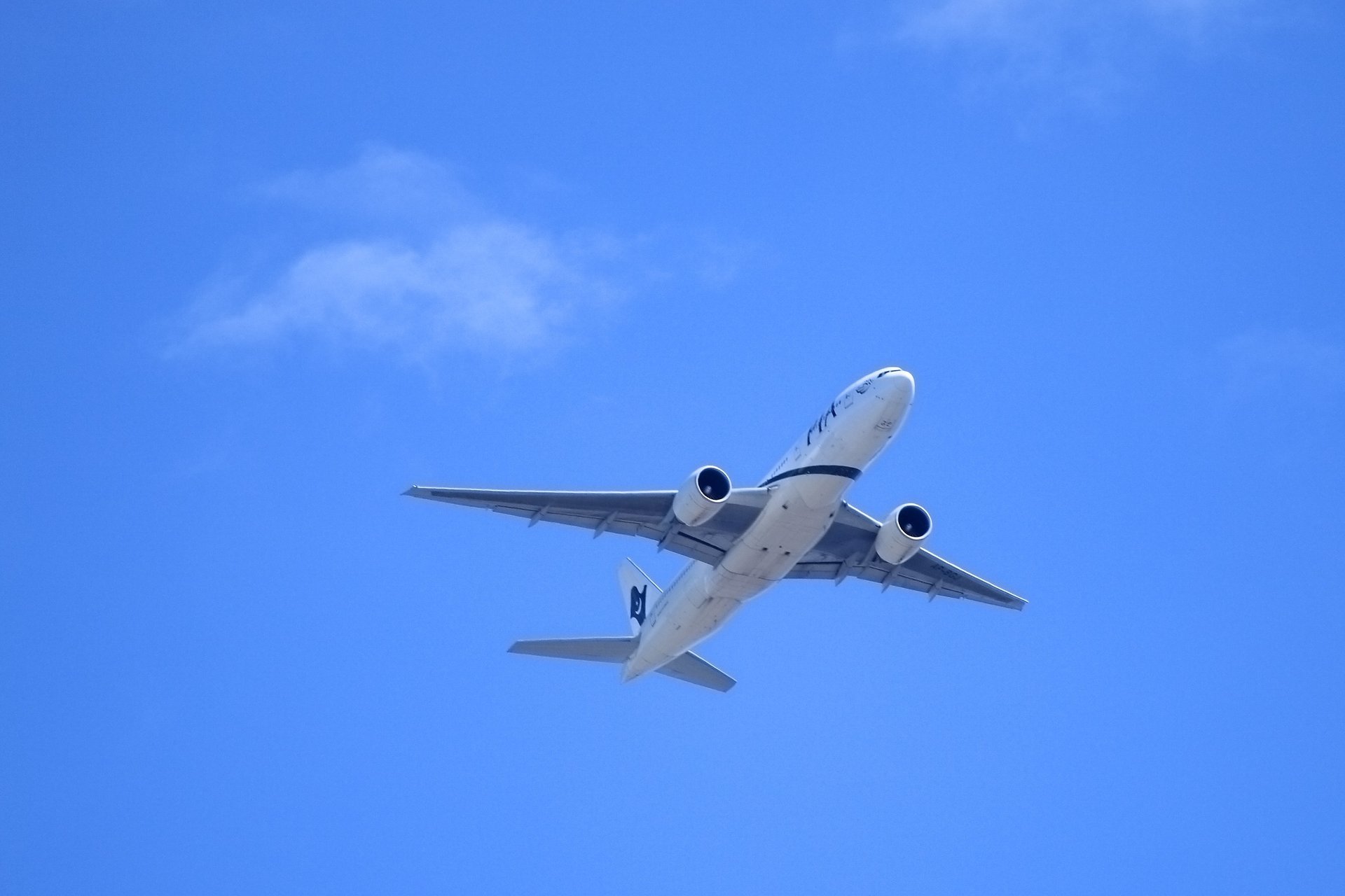 Air Canada airline