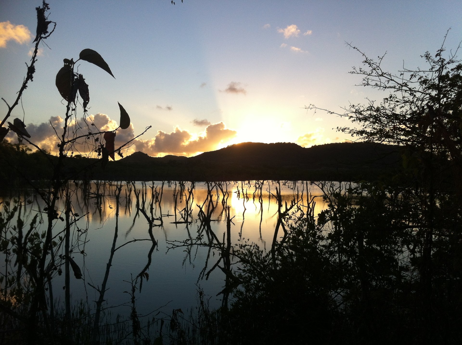 gray computer monitor