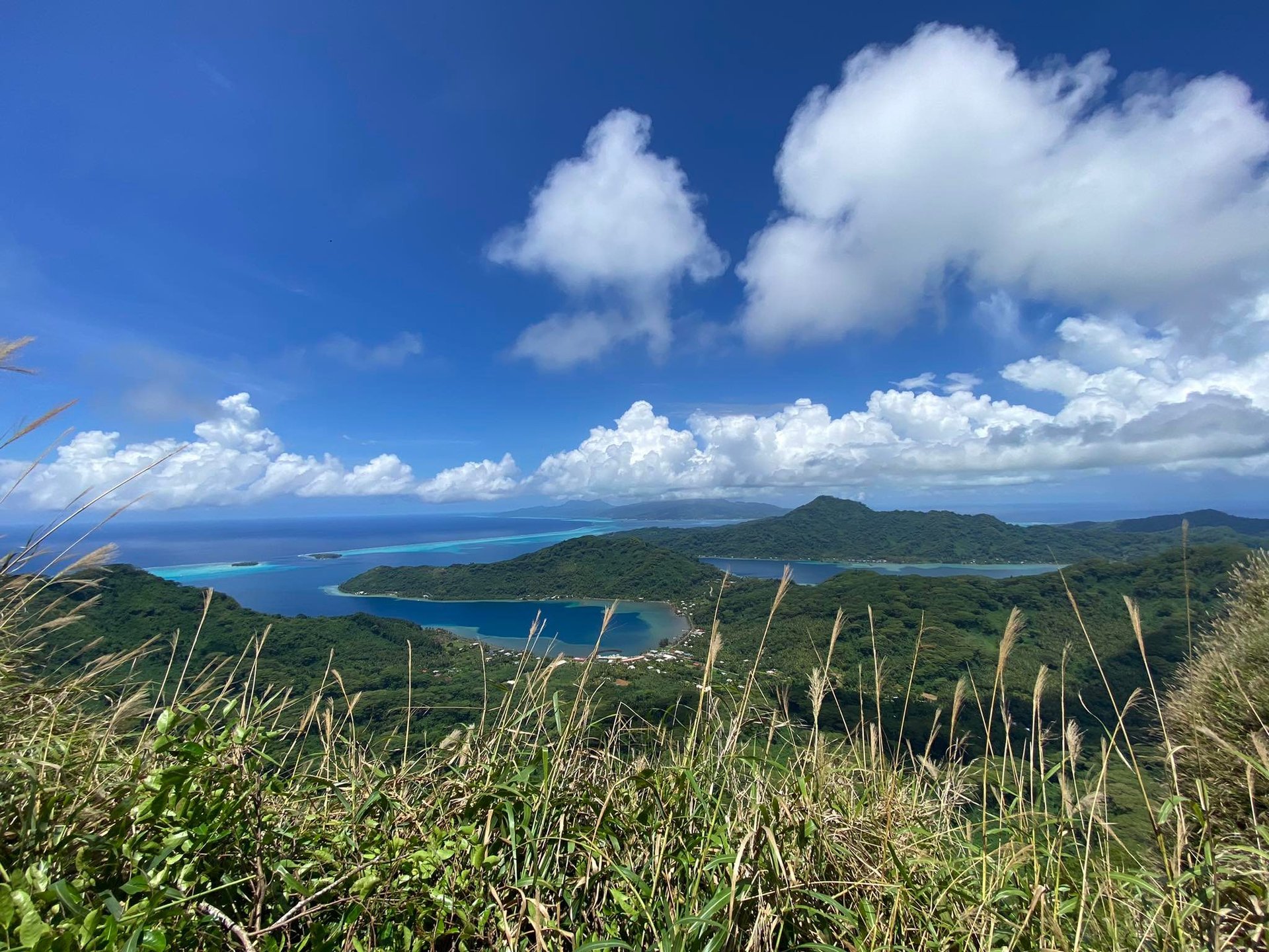 black blue and yellow textile