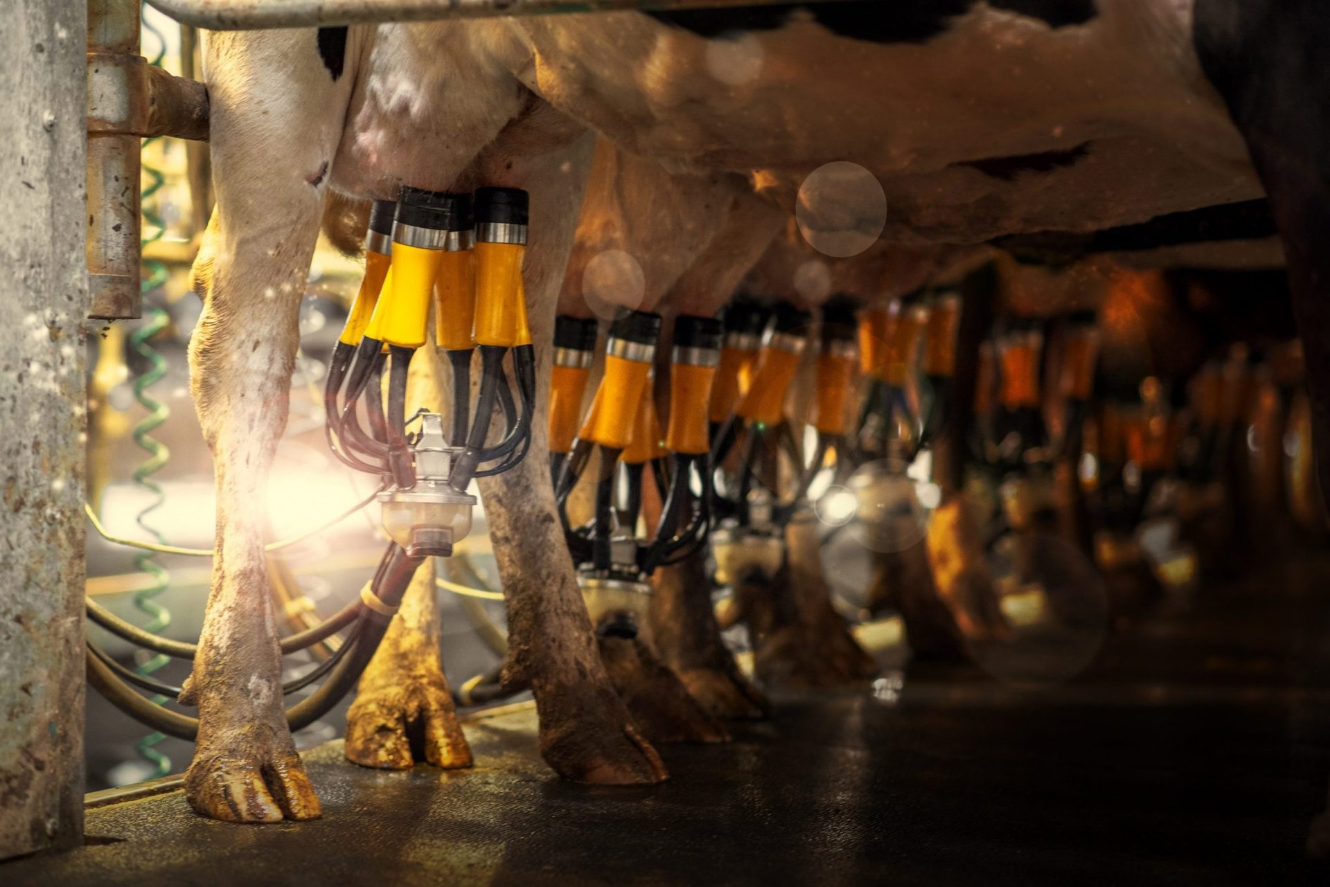an abstract photo of a curved building with a blue sky in the background
