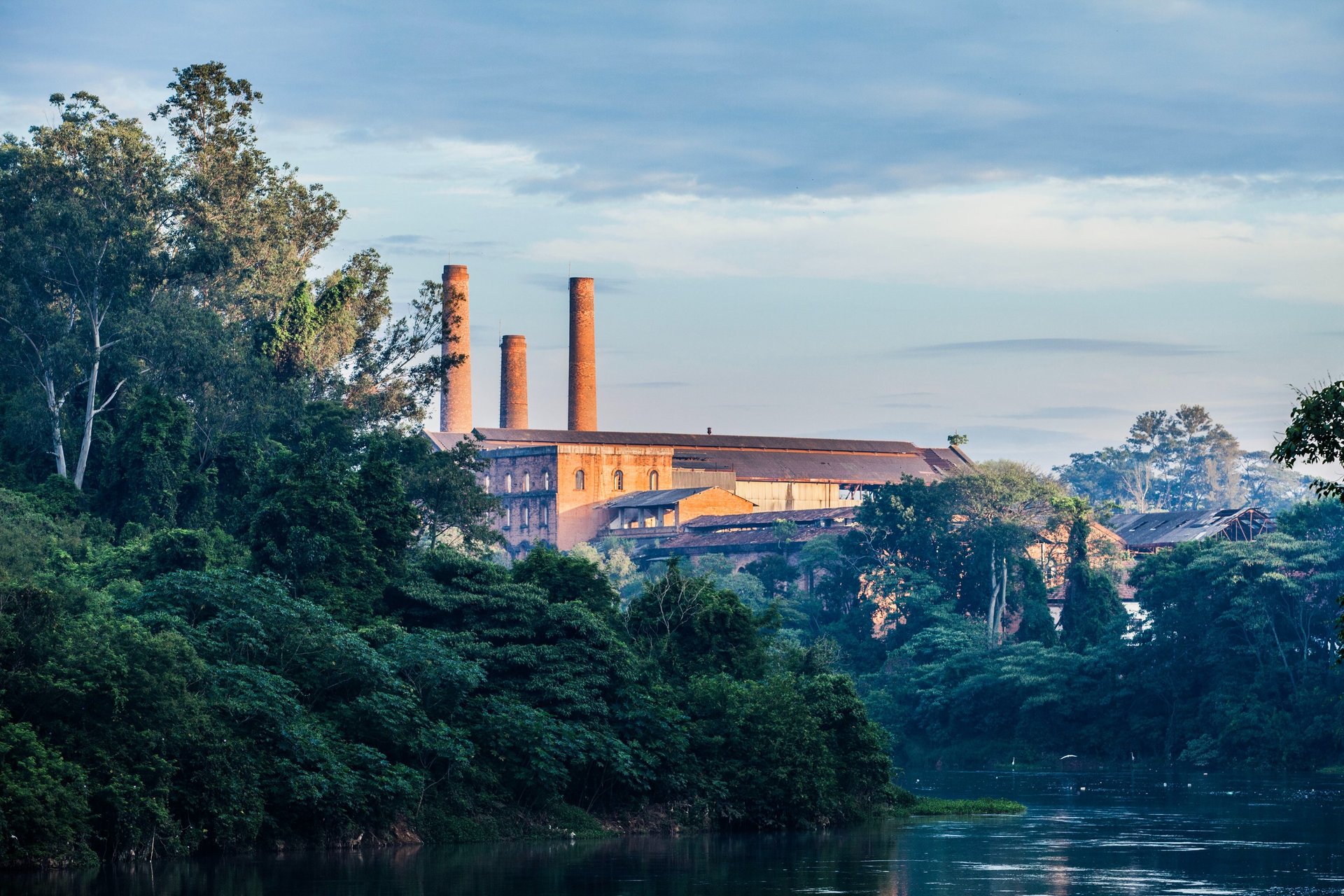 white and gray airplane wing