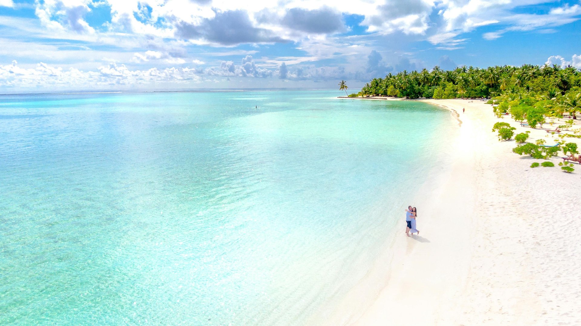 palm trees on beach shore during daytime