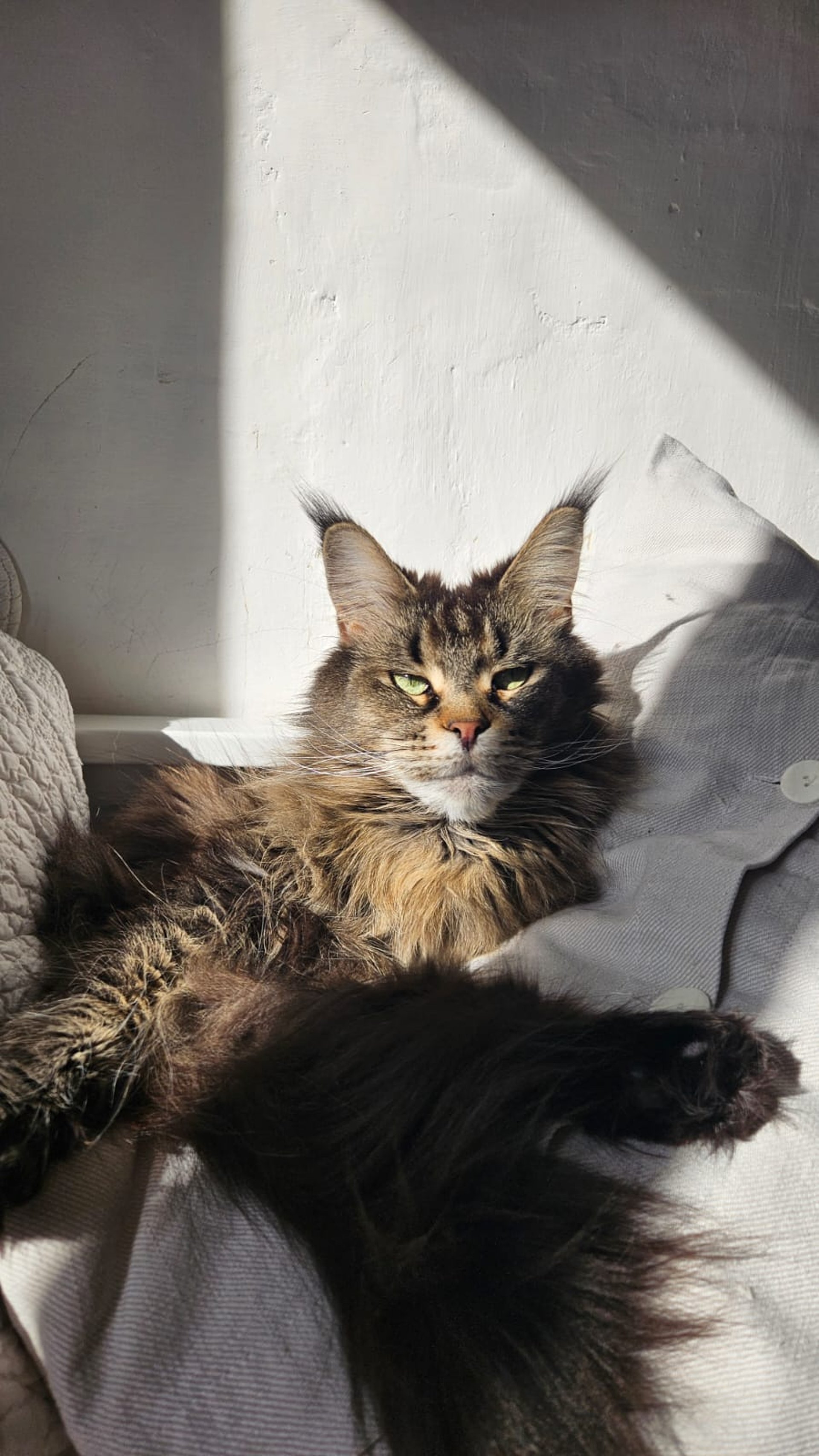woman wearing yellow long-sleeved dress under white clouds and blue sky during daytime