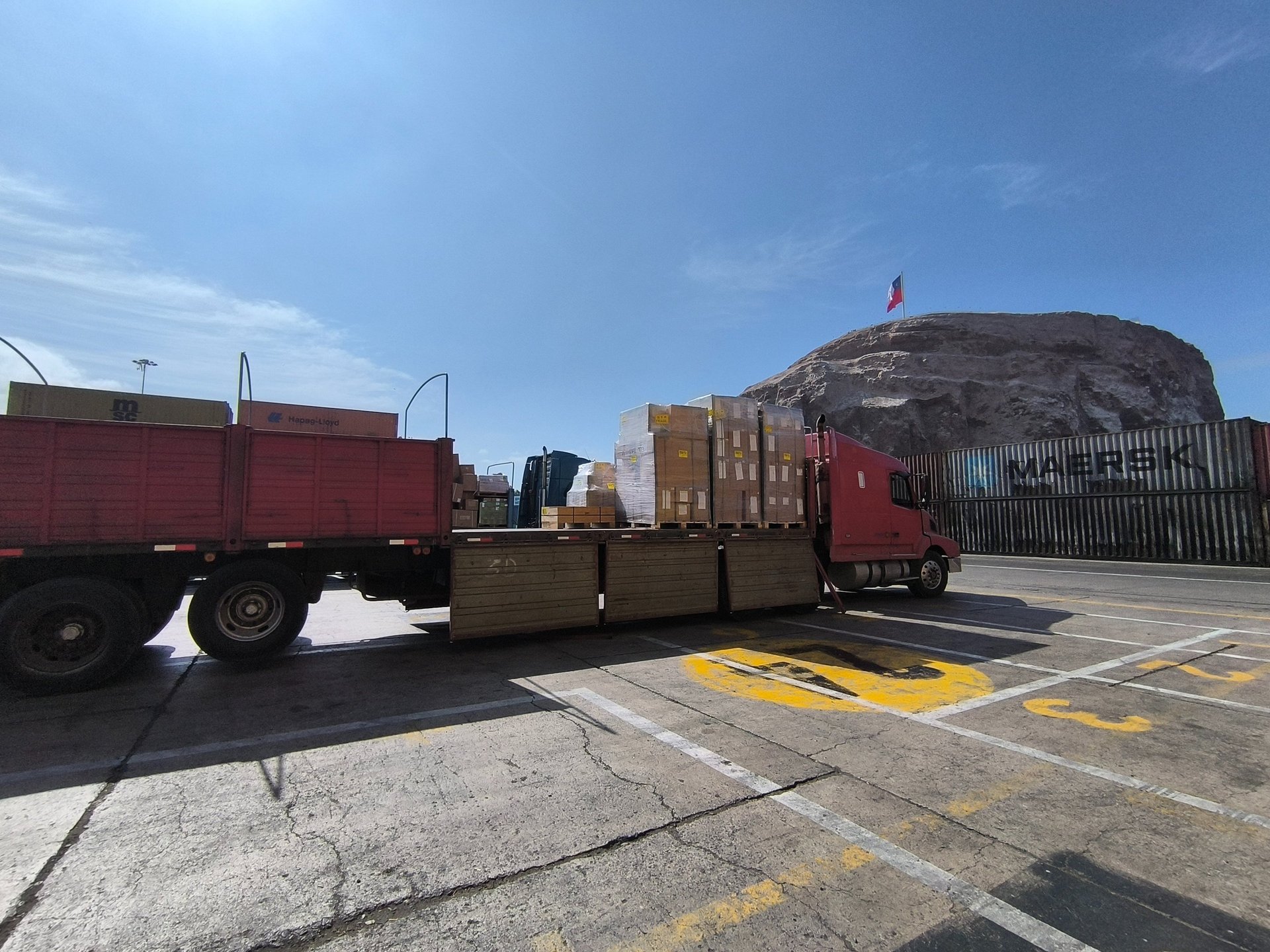 brown on seashore near body of water under cloudy sky at daytime