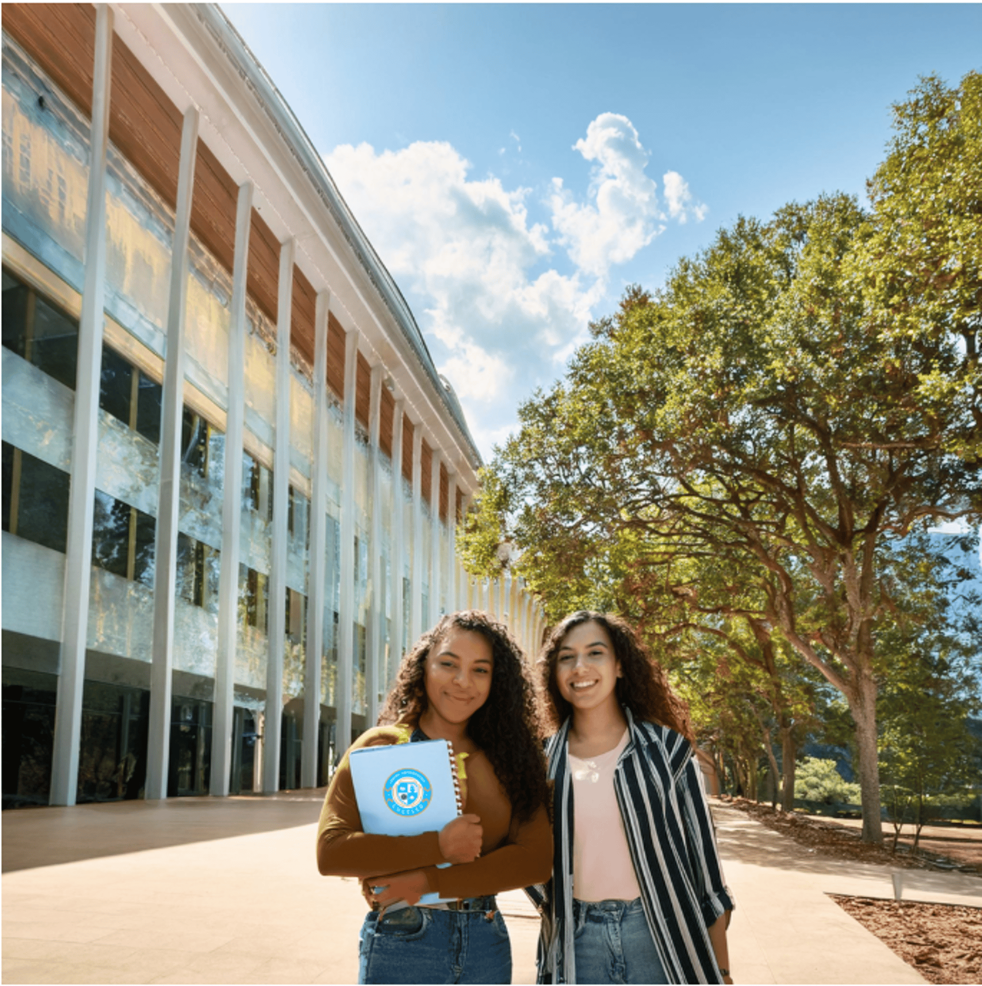 black and brown leather padded tub sofa