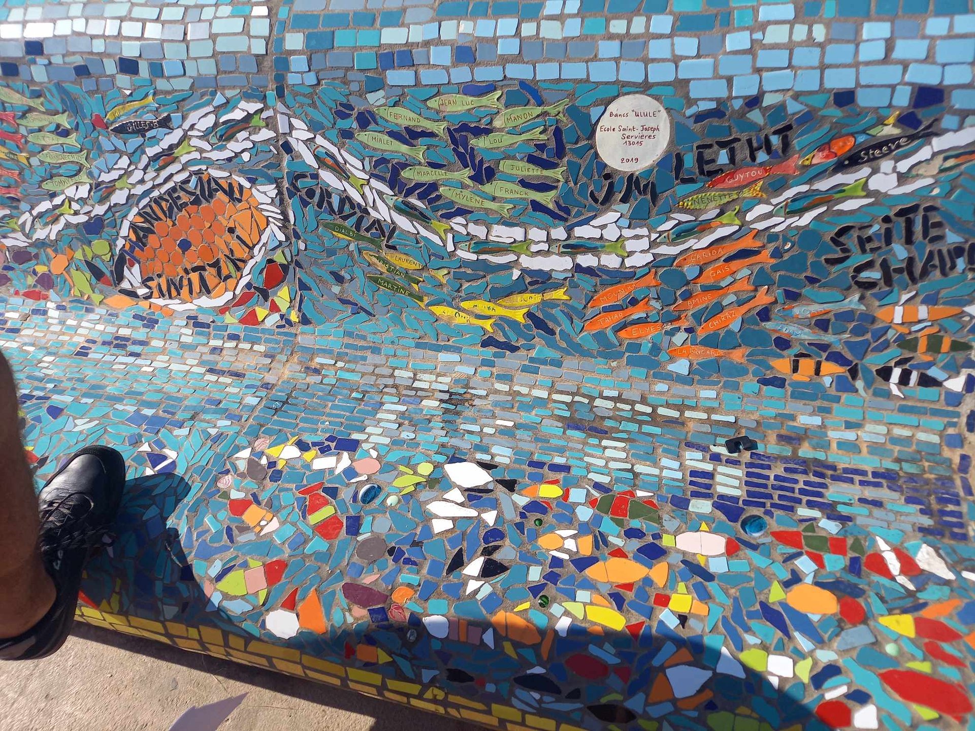 an aerial view of a body of water