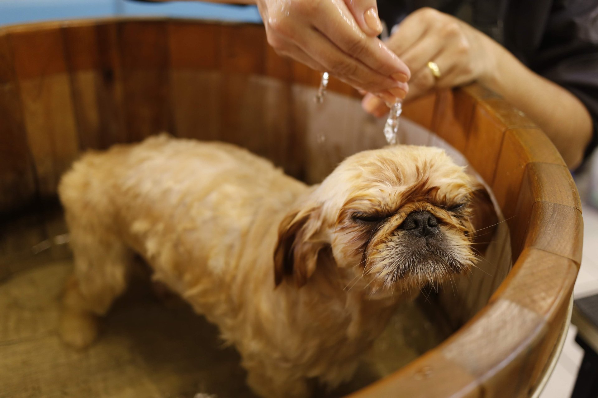an abstract photo of a curved building with a blue sky in the background
