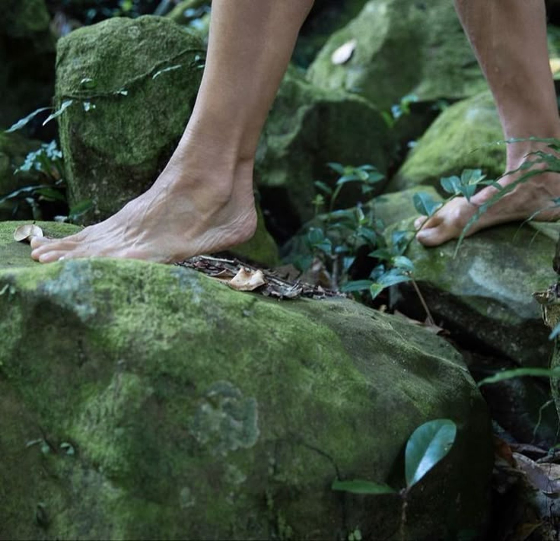 water droplets on a leaf