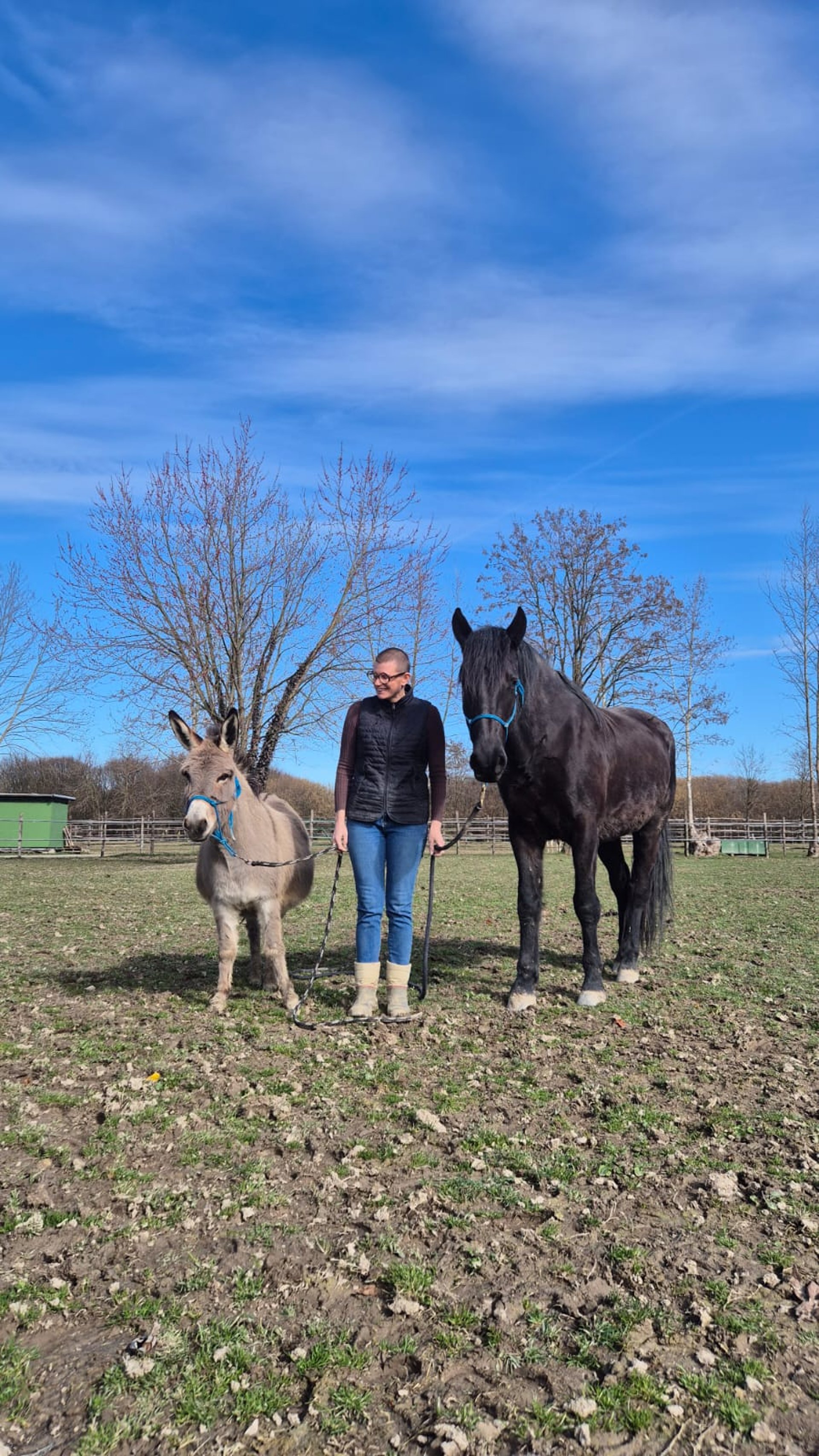 black blue and yellow textile