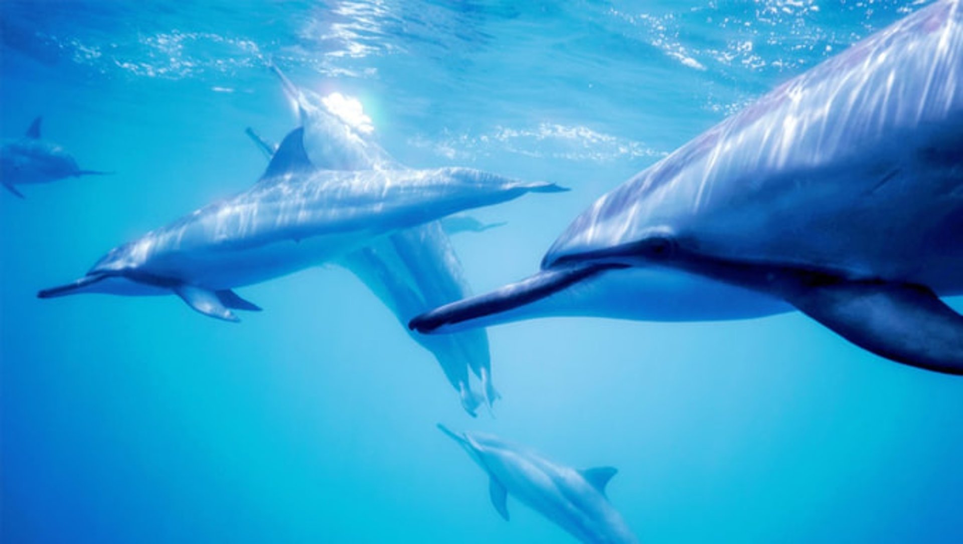 an abstract photo of a curved building with a blue sky in the background