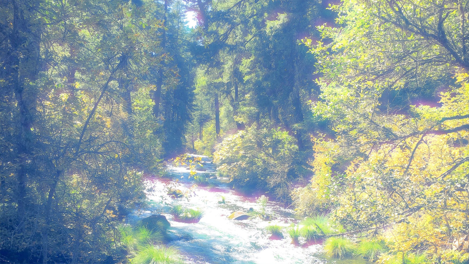 an abstract photo of a curved building with a blue sky in the background