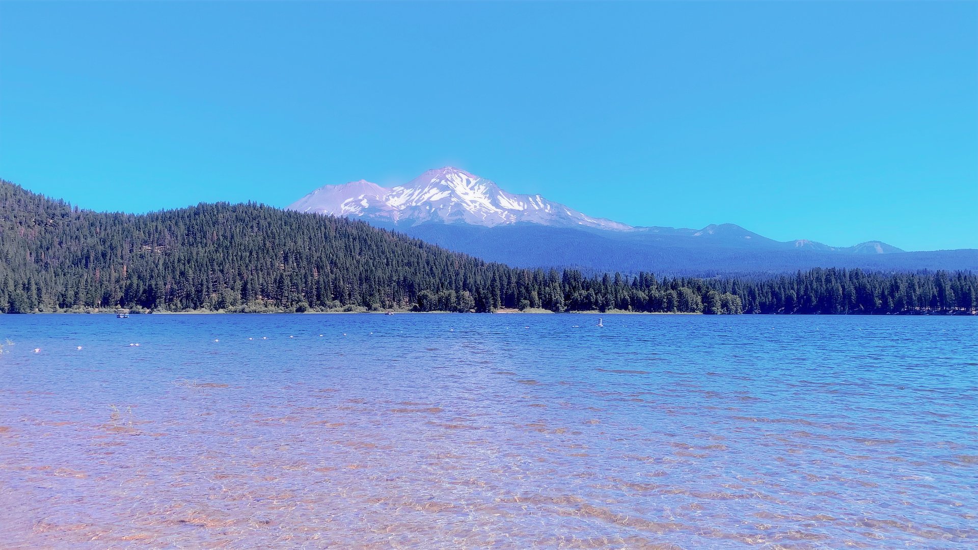 an abstract photo of a curved building with a blue sky in the background