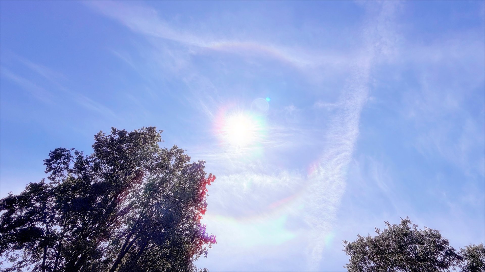 an abstract photo of a curved building with a blue sky in the background
