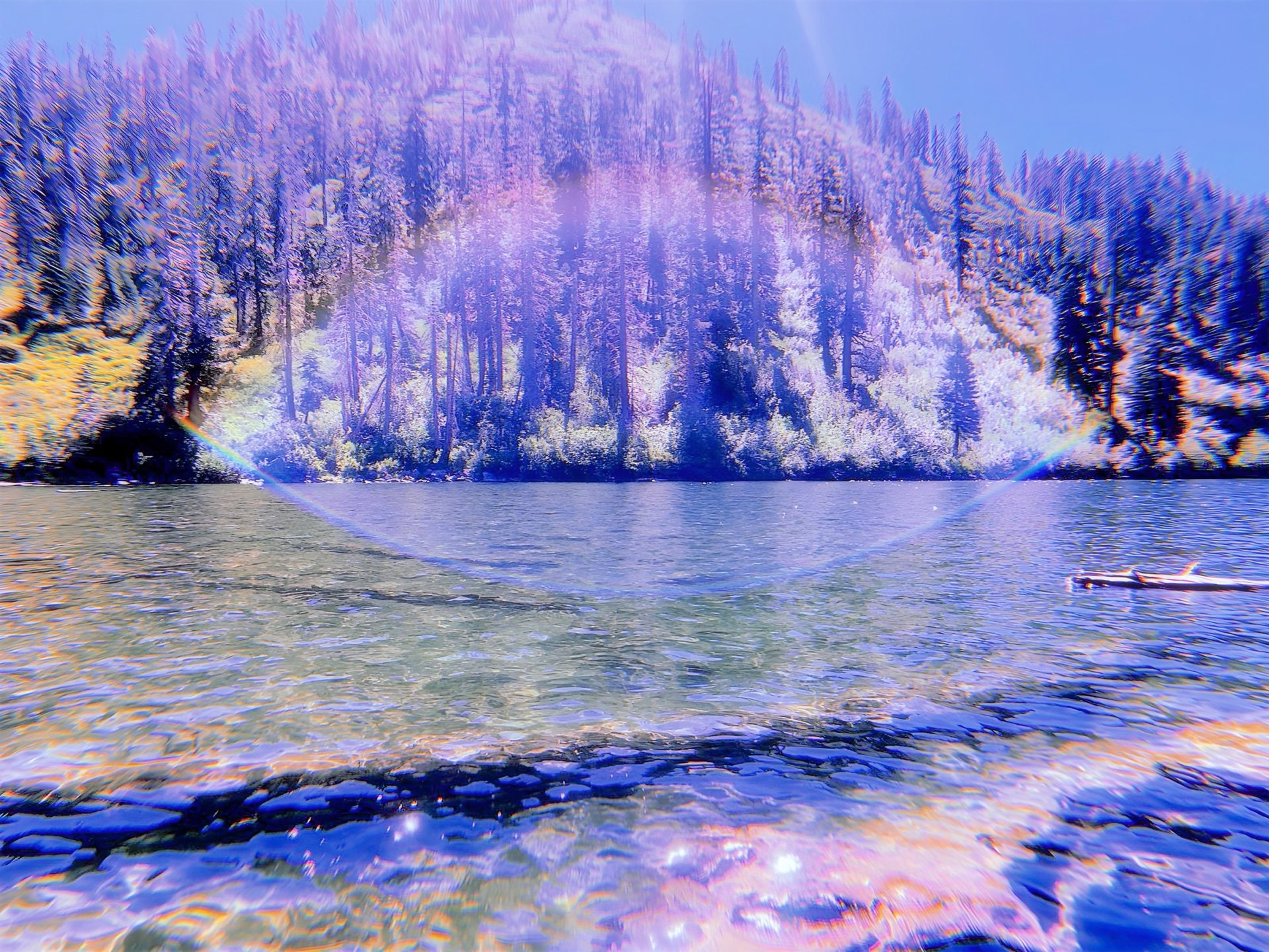 an abstract photo of a curved building with a blue sky in the background