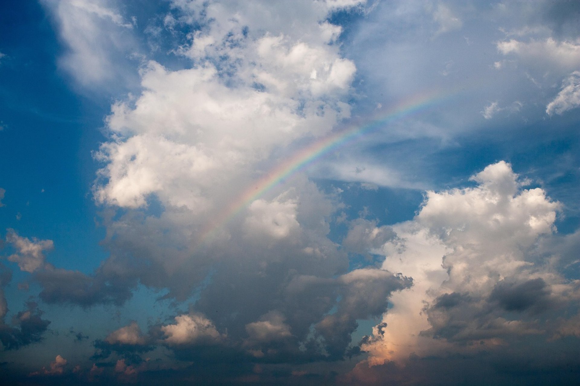 an abstract photo of a curved building with a blue sky in the background