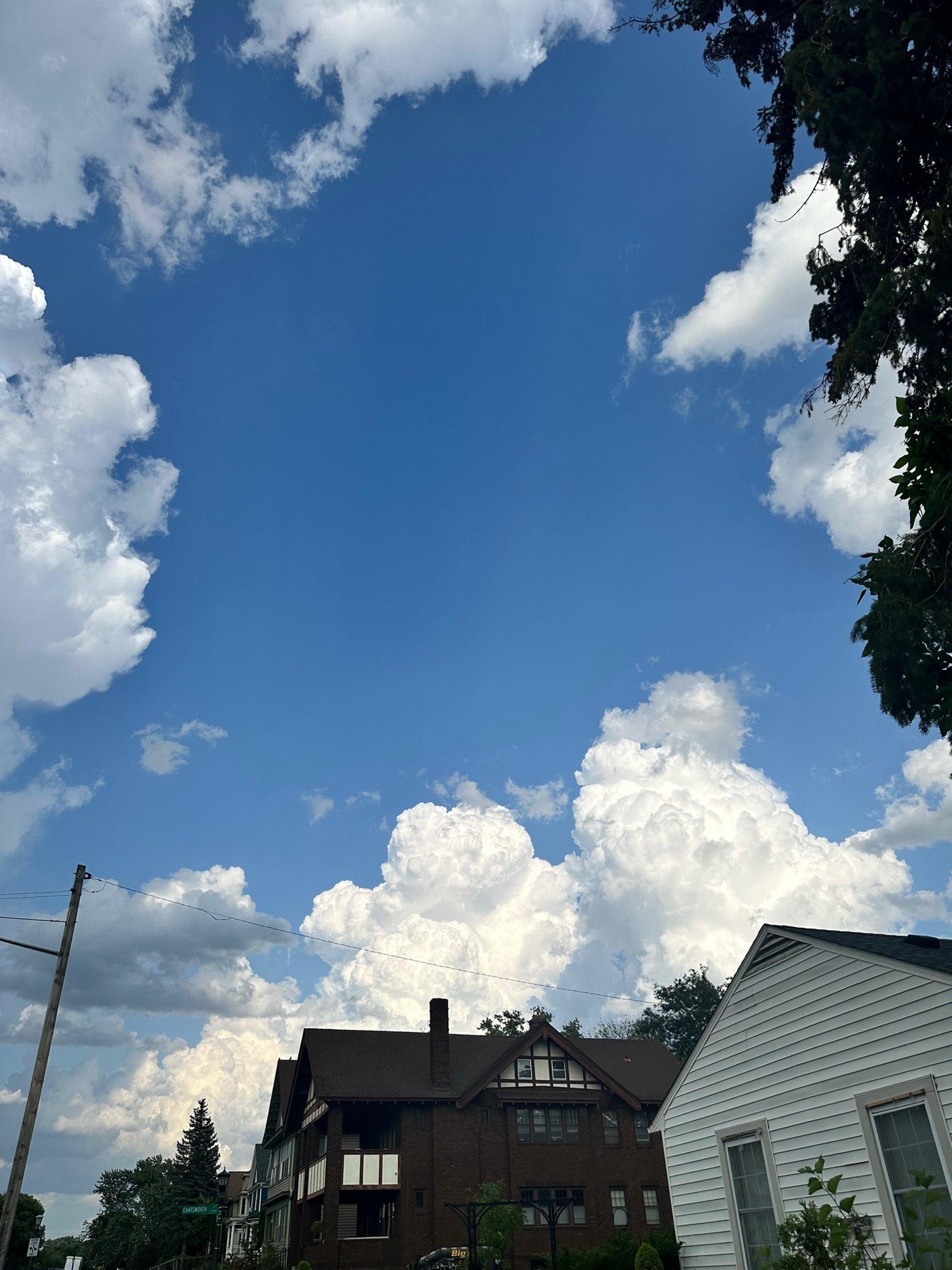 black blue and yellow textile