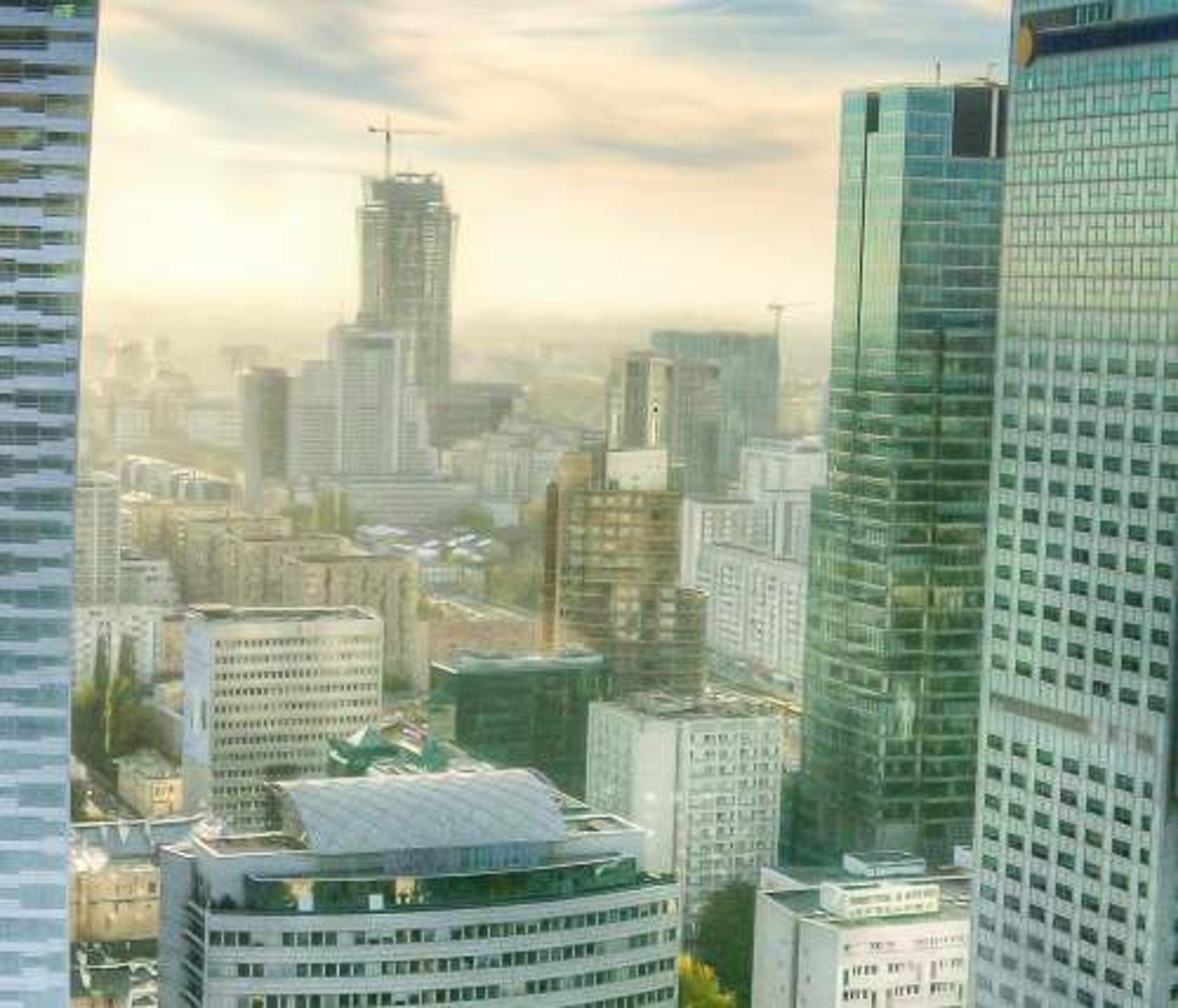 white and brown city buildings during daytime