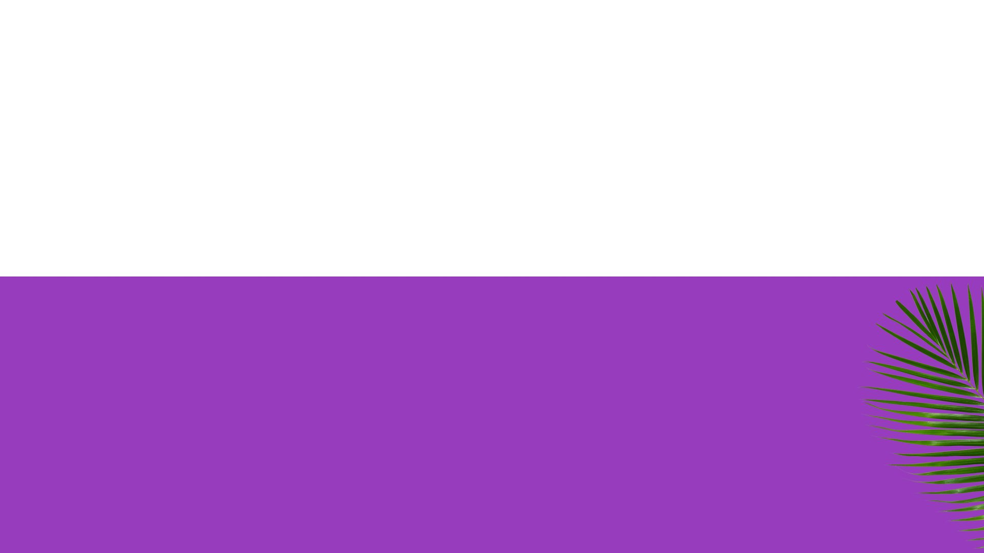 fond blanc et violet avec une feuille verte