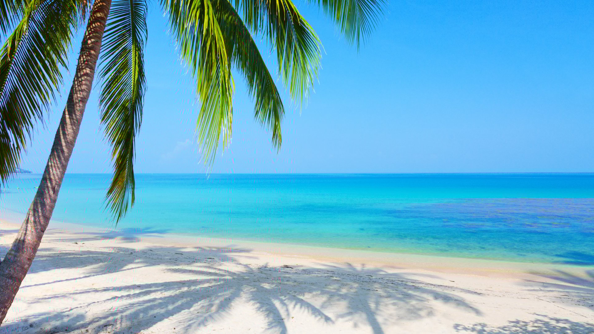 plage avec vue sur la mer