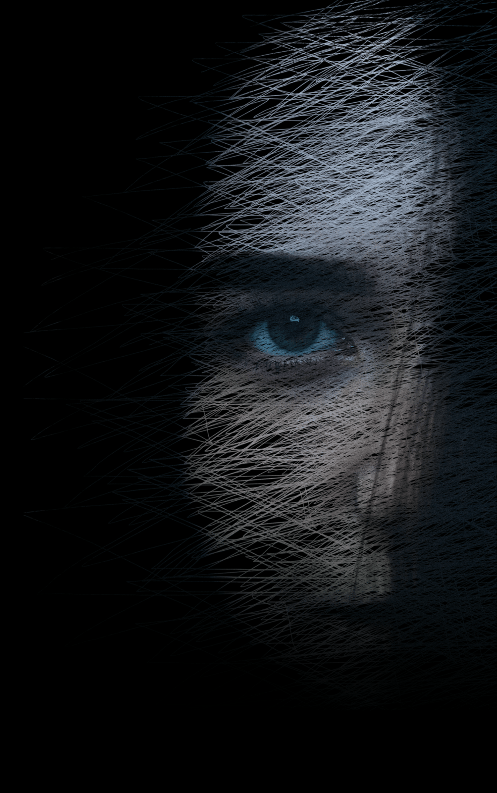 snow covered trees during daytime