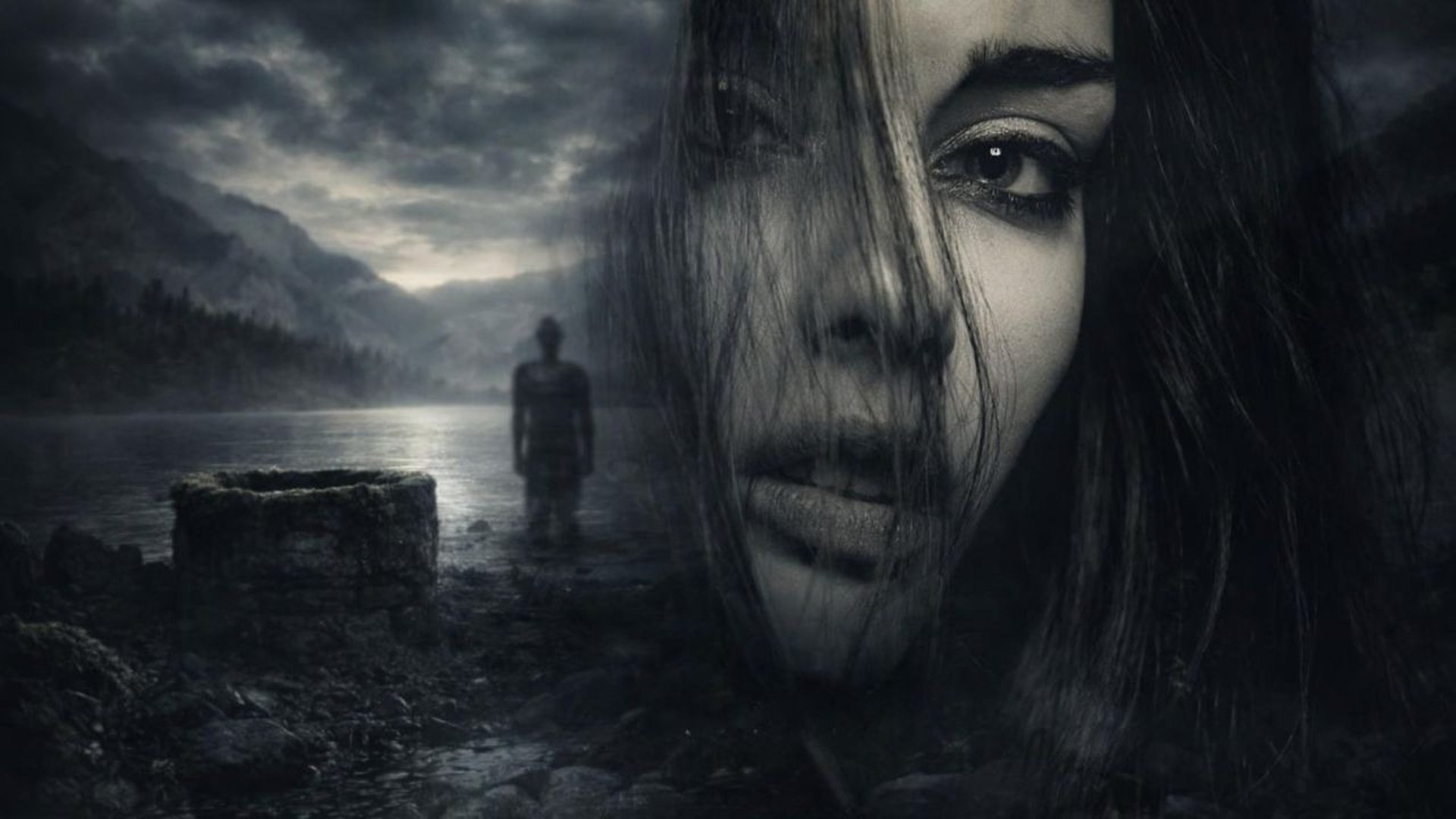 snow covered trees during daytime