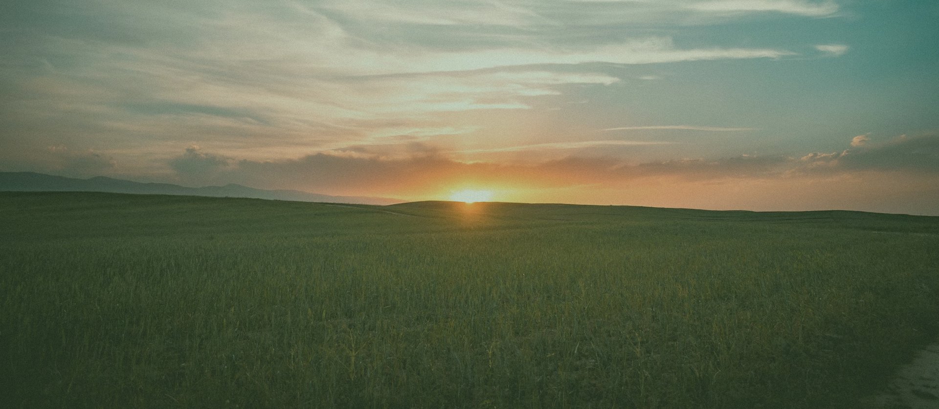 a bouquet of flowers sits on a park bench