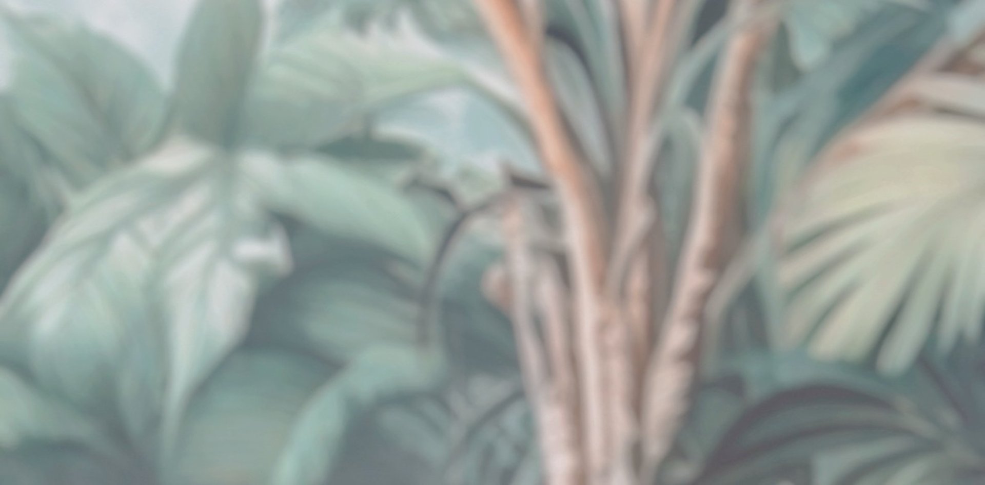 gray computer monitor