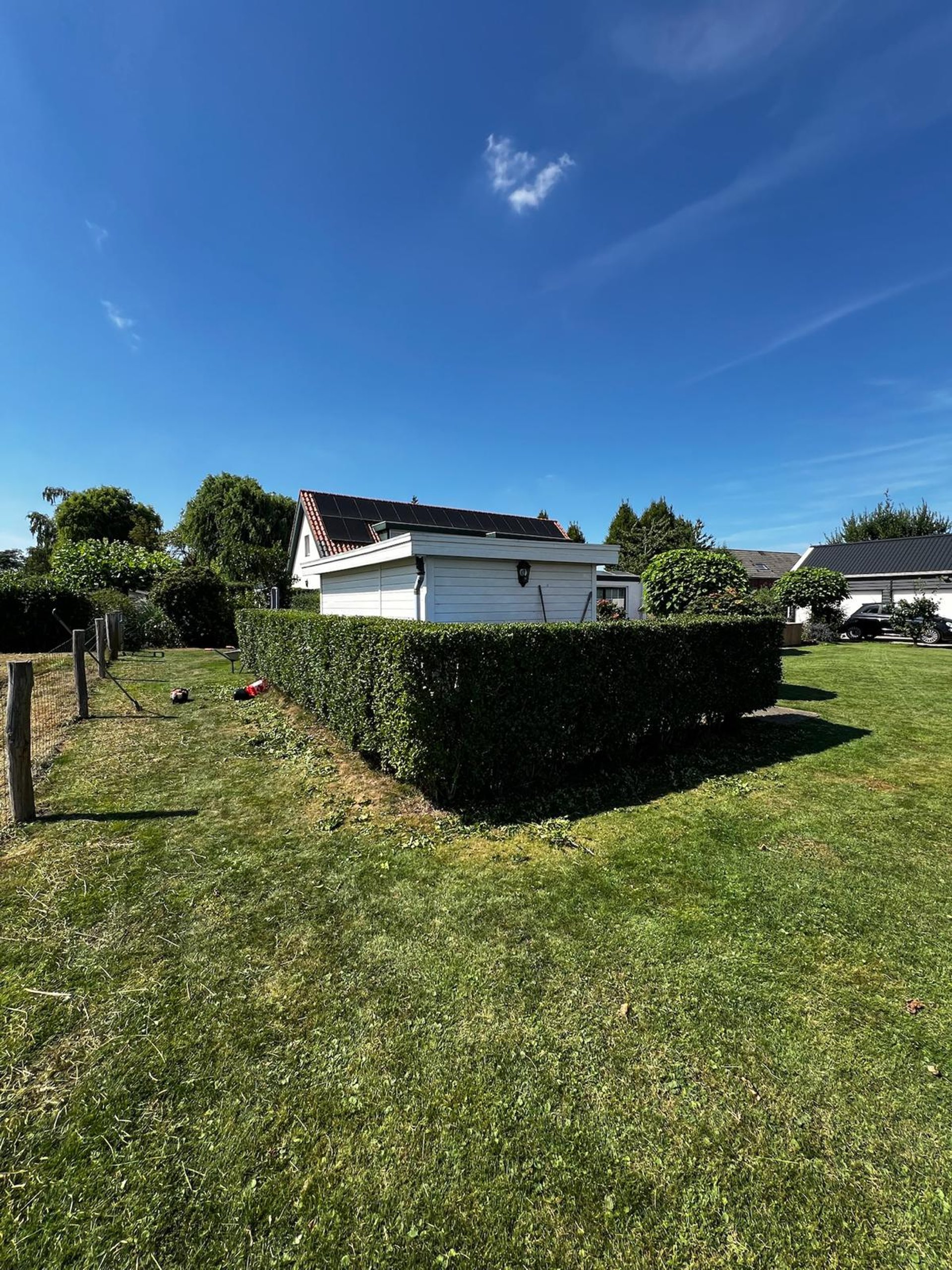 woman wearing yellow long-sleeved dress under white clouds and blue sky during daytime