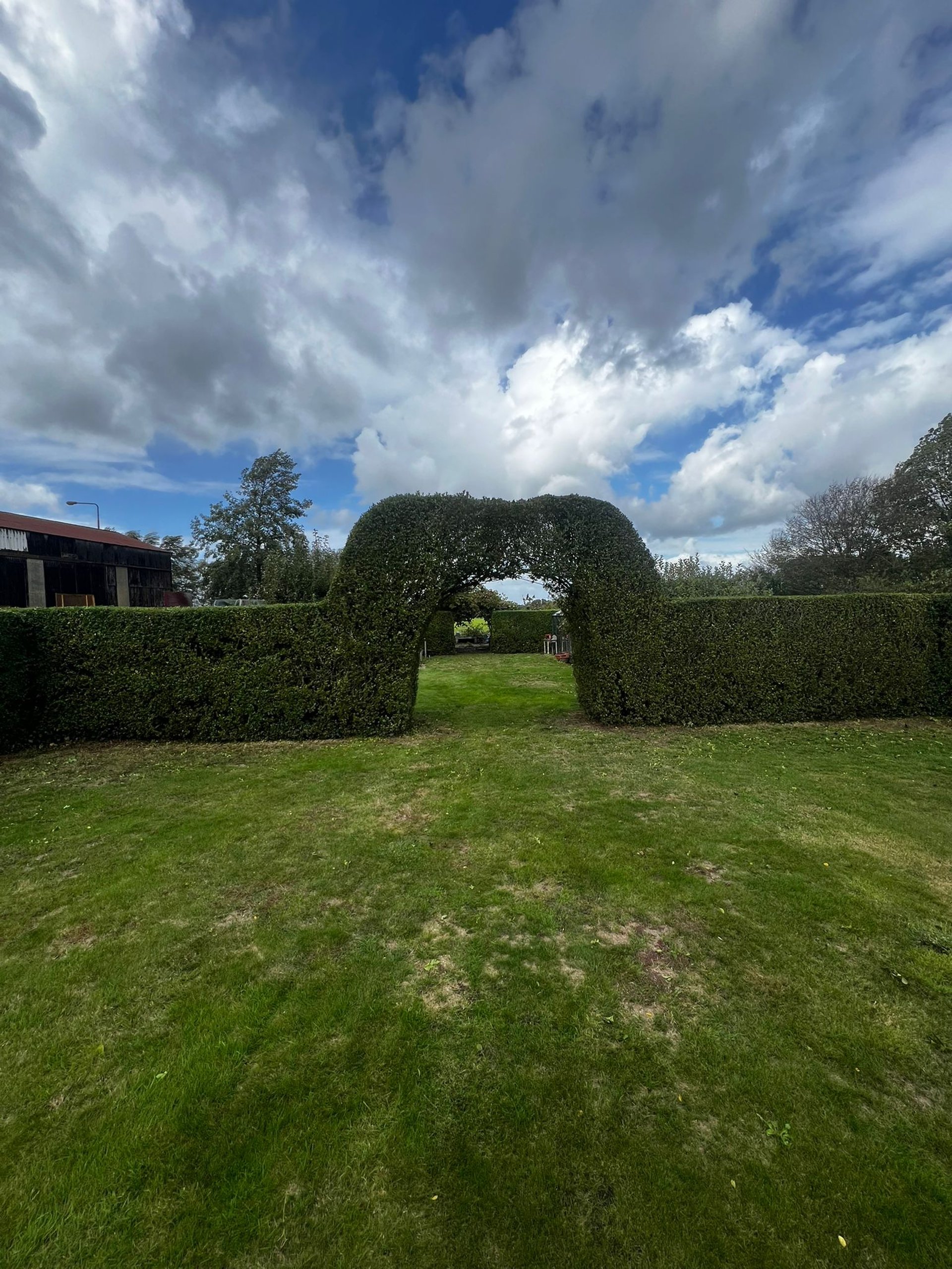 black and white bed linen