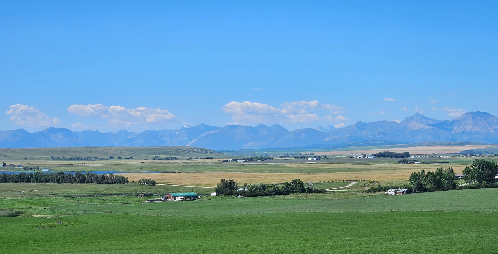 A field of green grass with a hill in the background