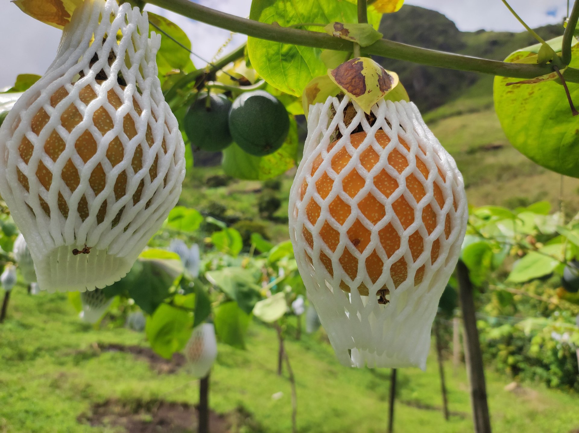 an abstract photo of a curved building with a blue sky in the background