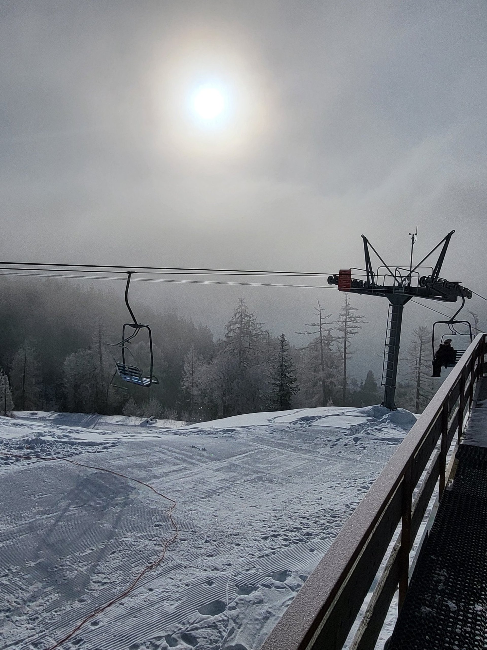 focused photo of a snow flake