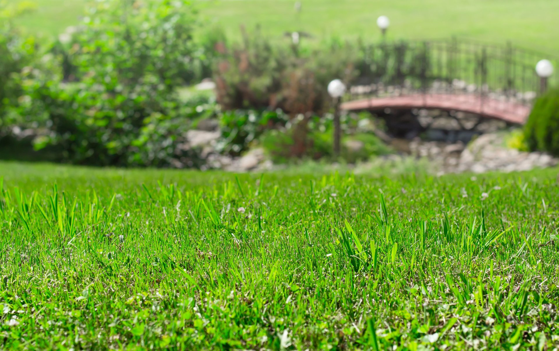 black and brown leather padded tub sofa