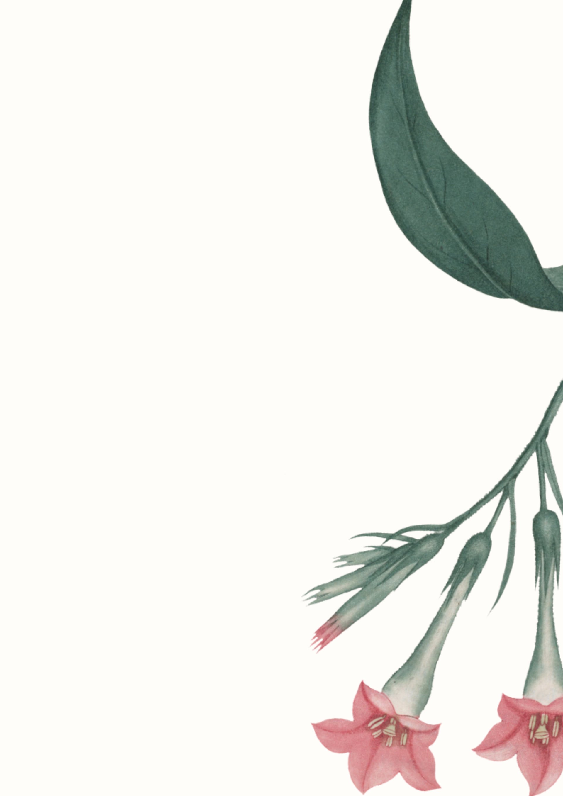 couple wearing silver-colored rings