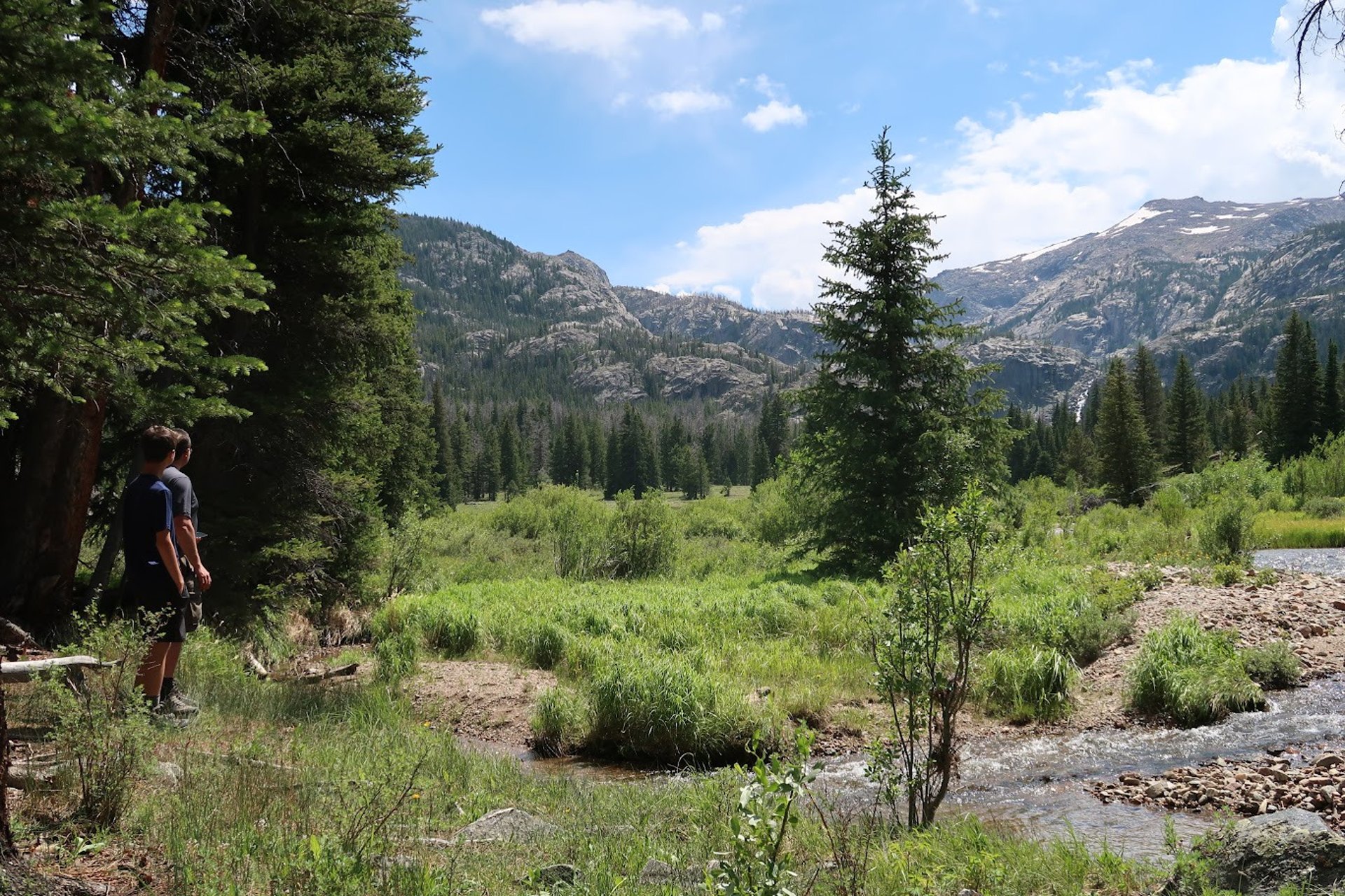 gray computer monitor