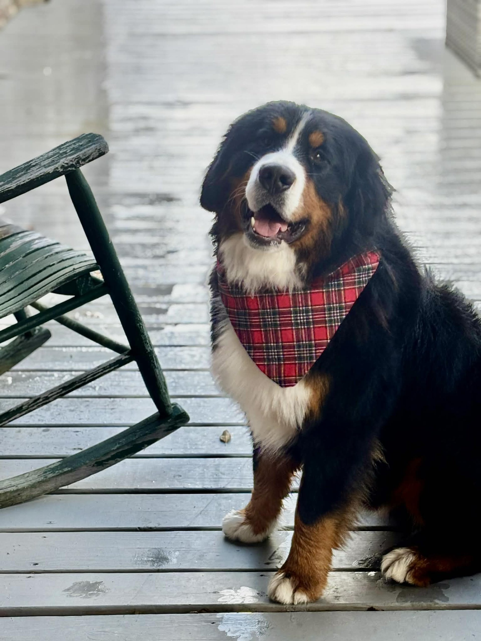 gray computer monitor