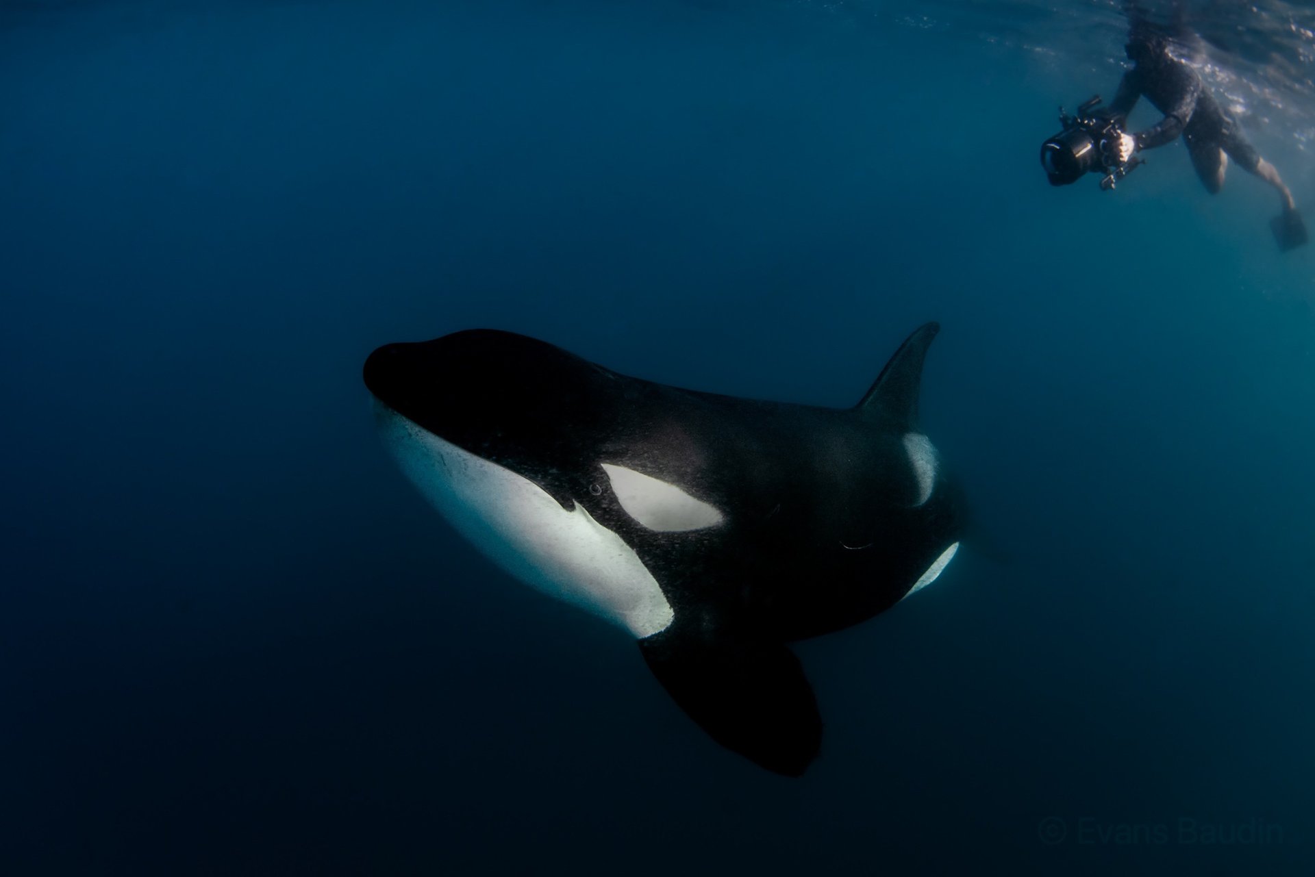 ocean waves crashing on shore during daytime