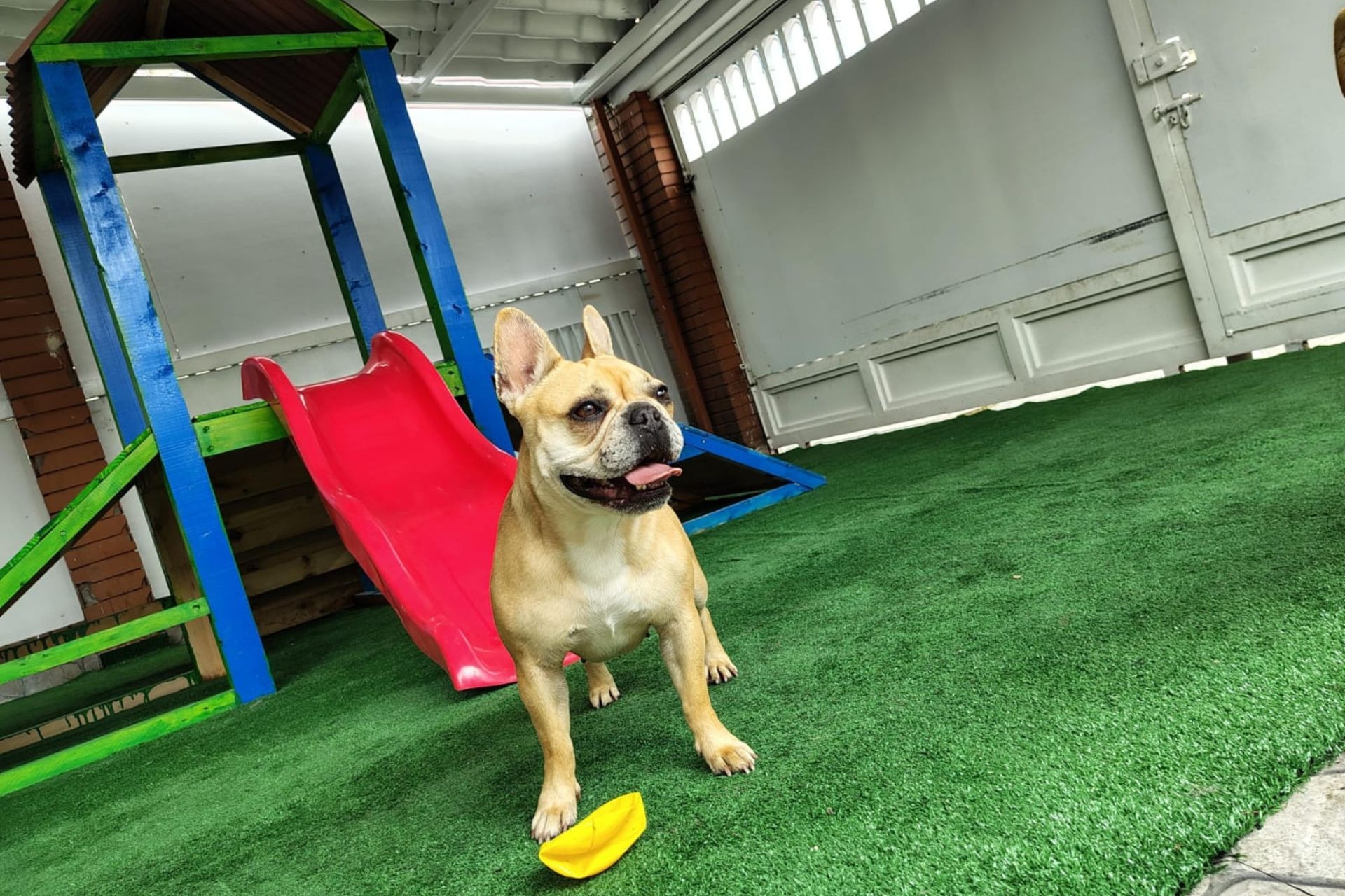 black and brown leather padded tub sofa