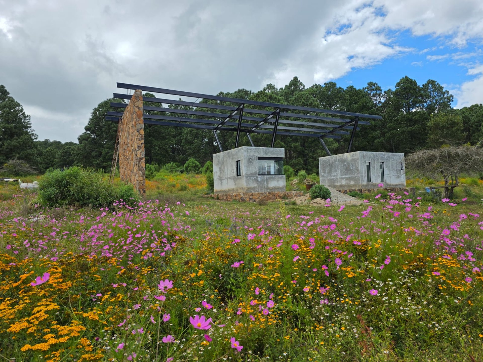 gray computer monitor