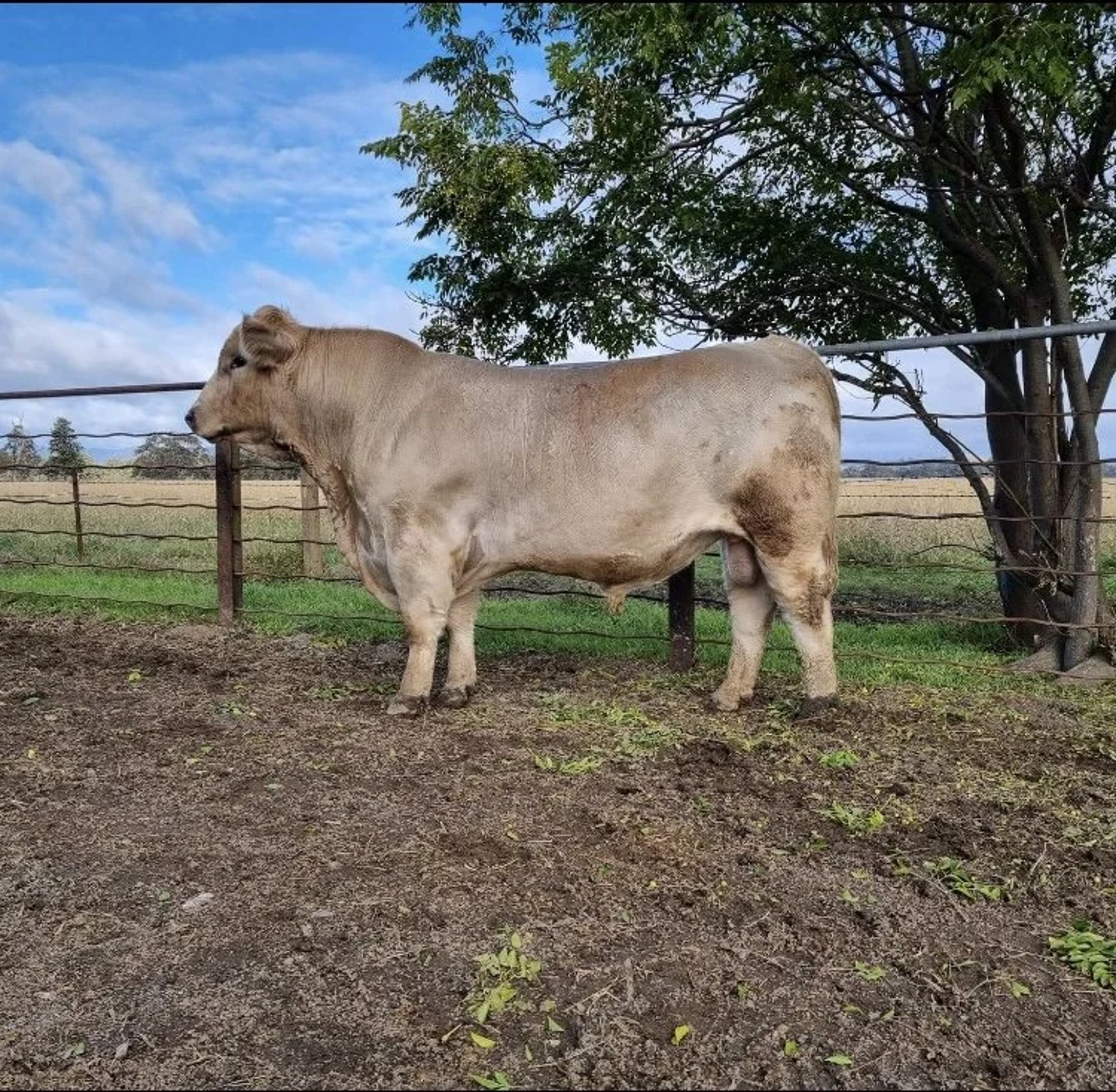 an abstract photo of a curved building with a blue sky in the background