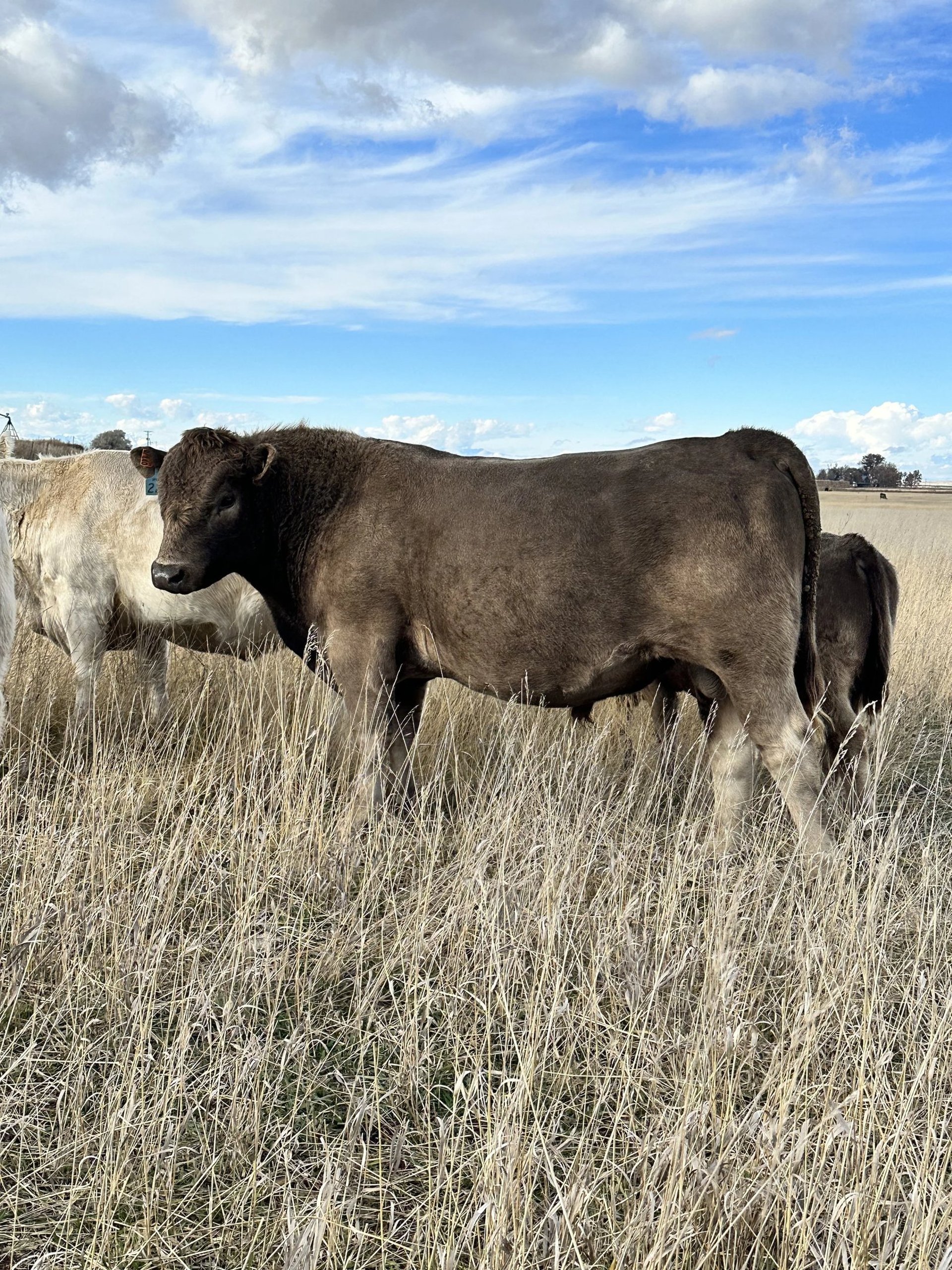 an abstract photo of a curved building with a blue sky in the background