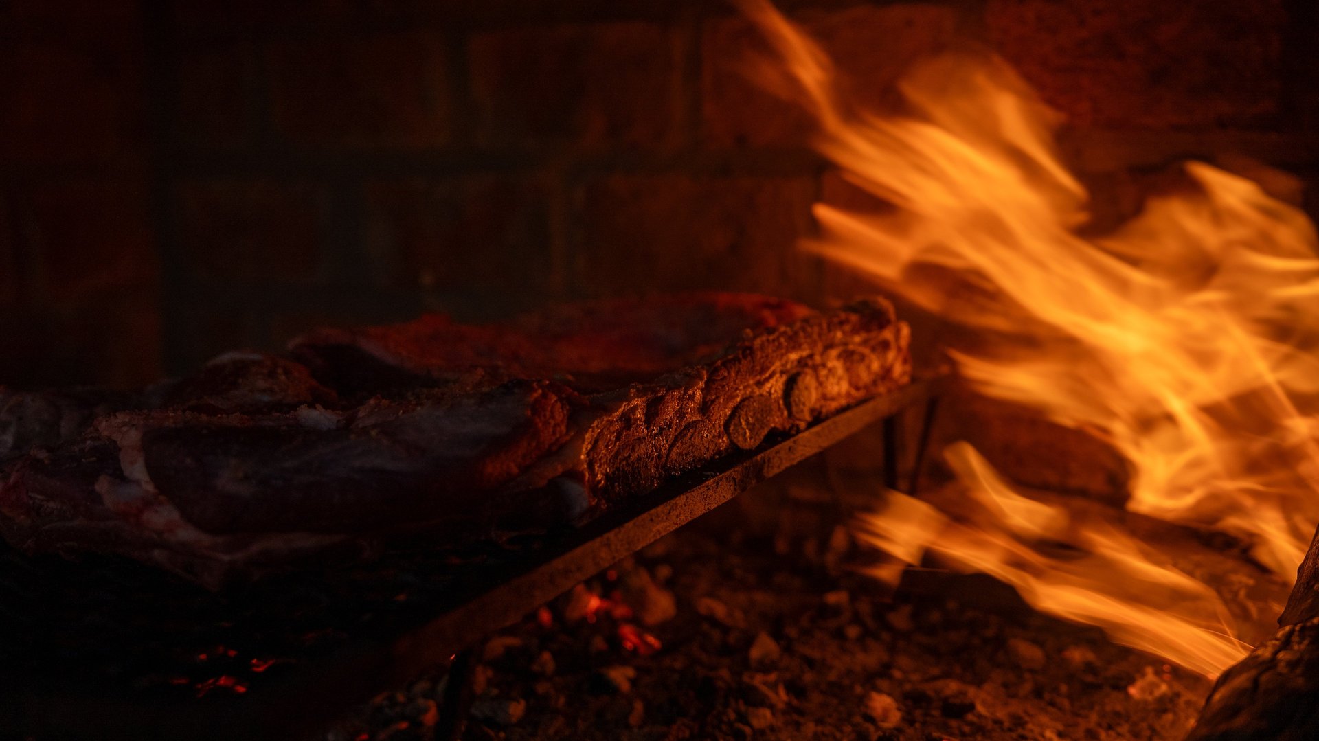 Sunny green lawn and trees.