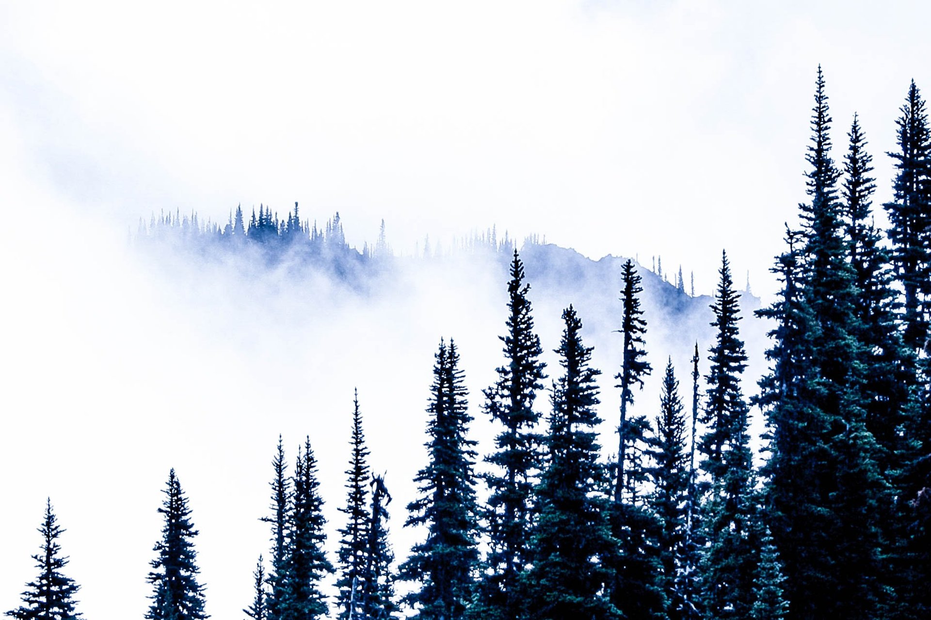 an abstract photo of a curved building with a blue sky in the background