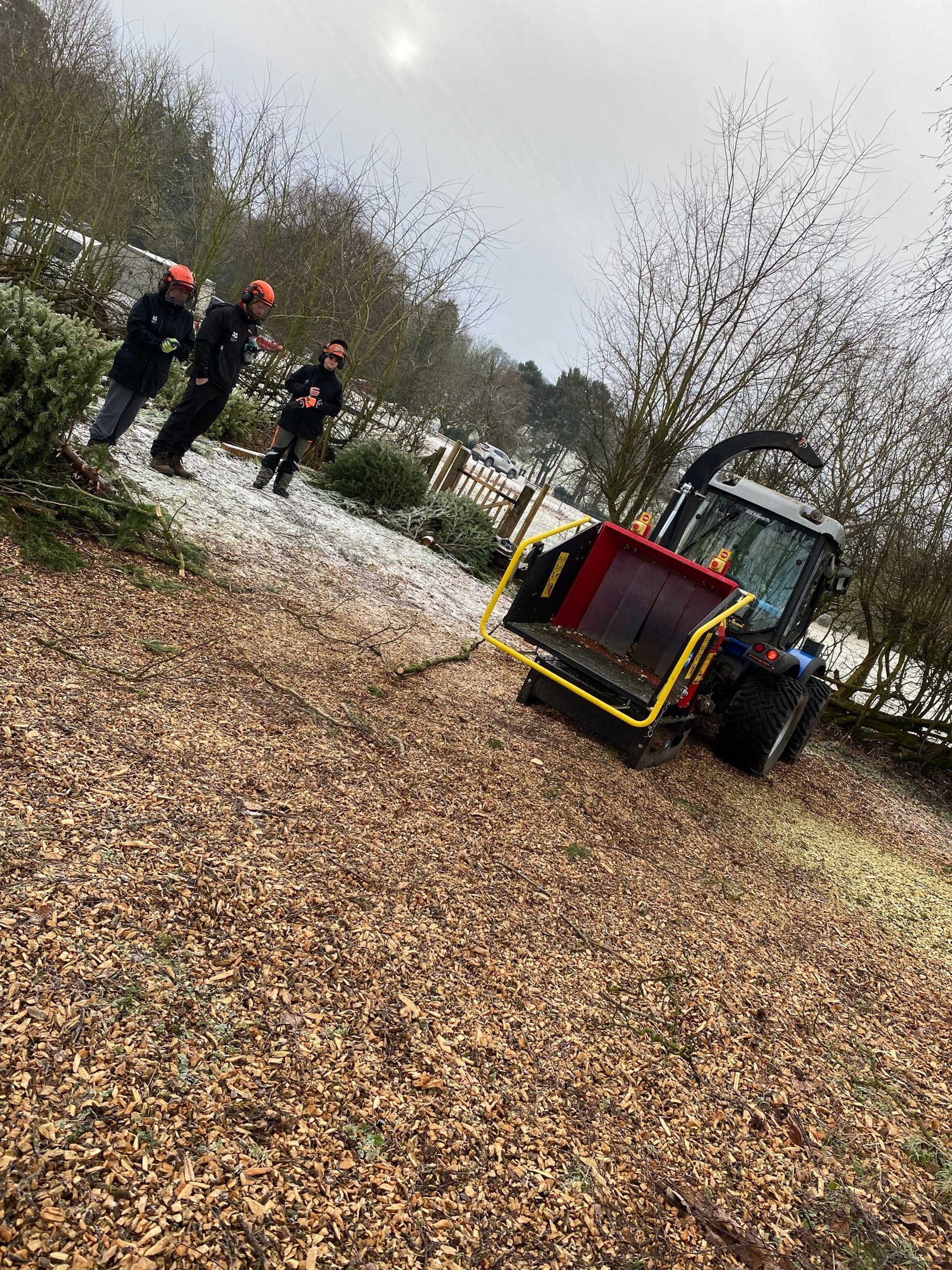 Tree climbing and aerial rescue