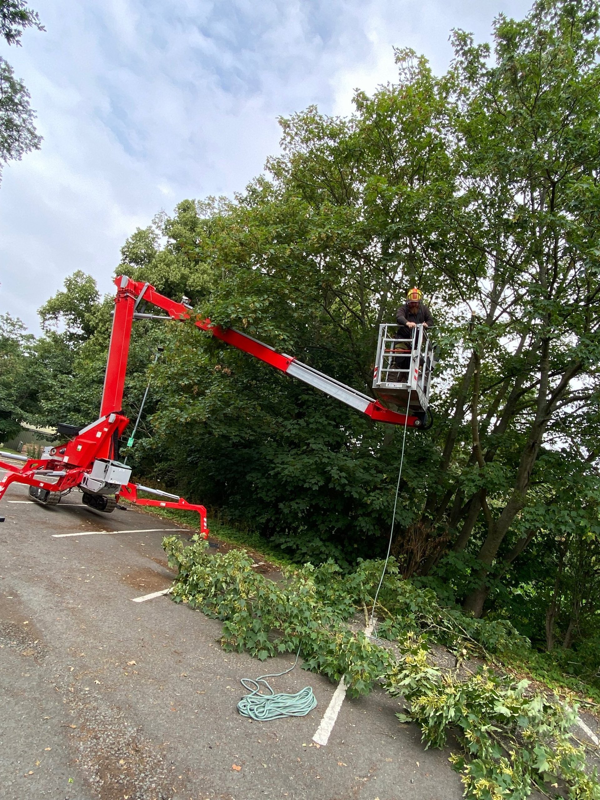 MEWP aerial pruning