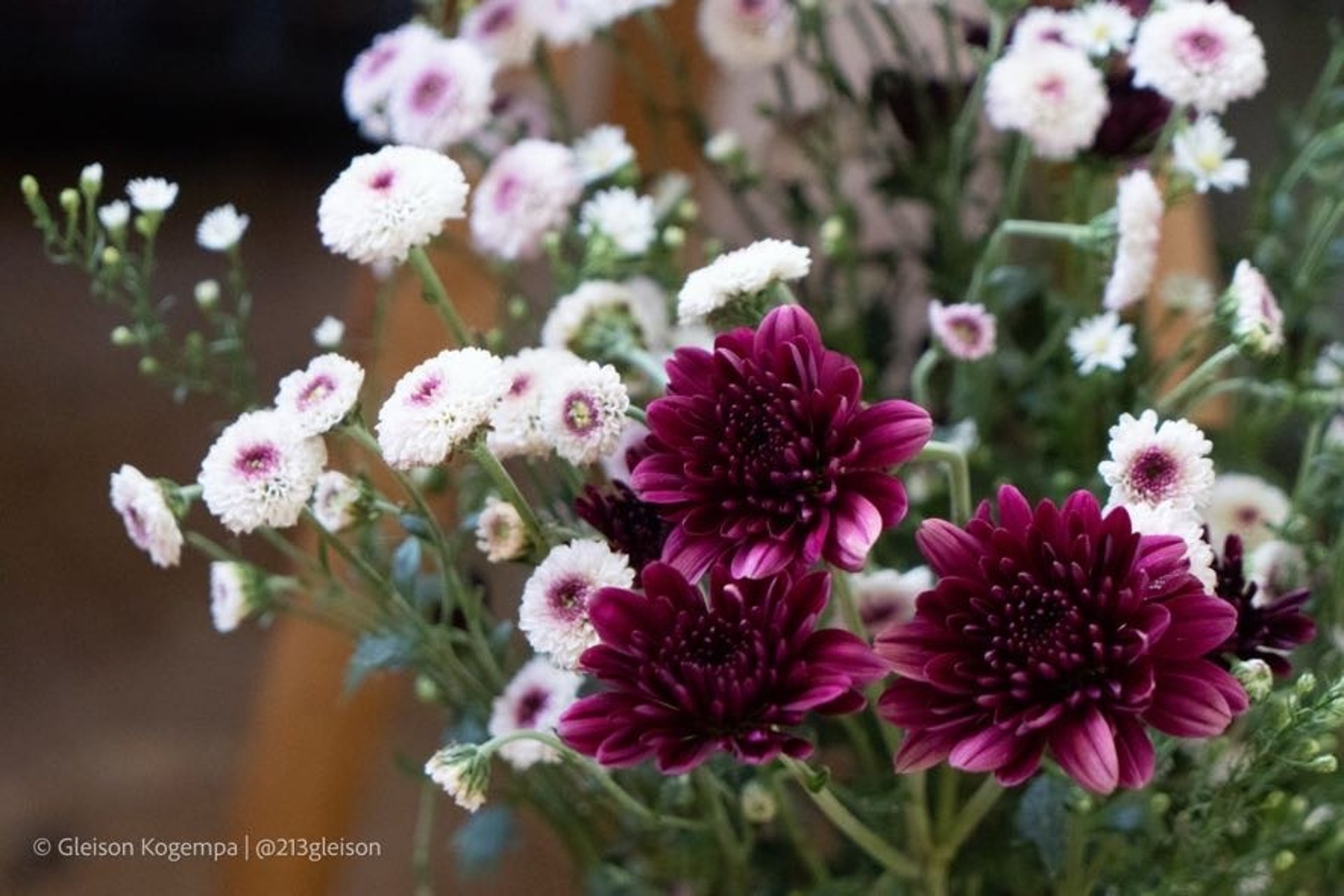 black blue and yellow textile